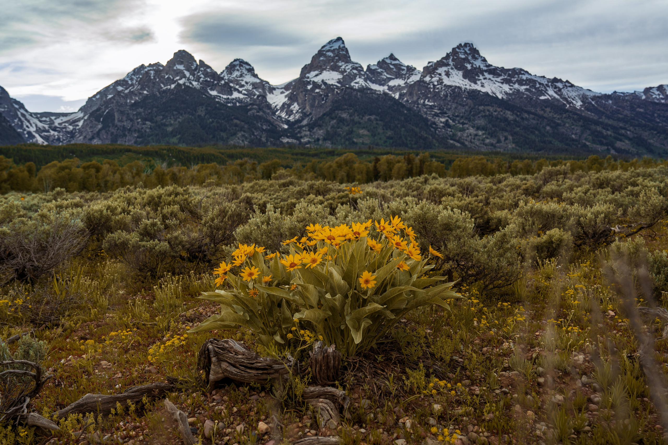 Путешествия и пейзаж. Репортажный фотограф в Красной Поляне и Сочи Павлюченко Екатерина