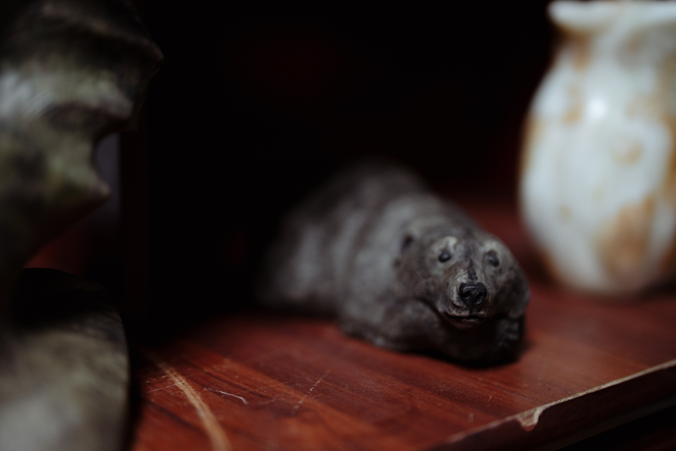 Сюжет № 10|Иван Викторович Евстифеев