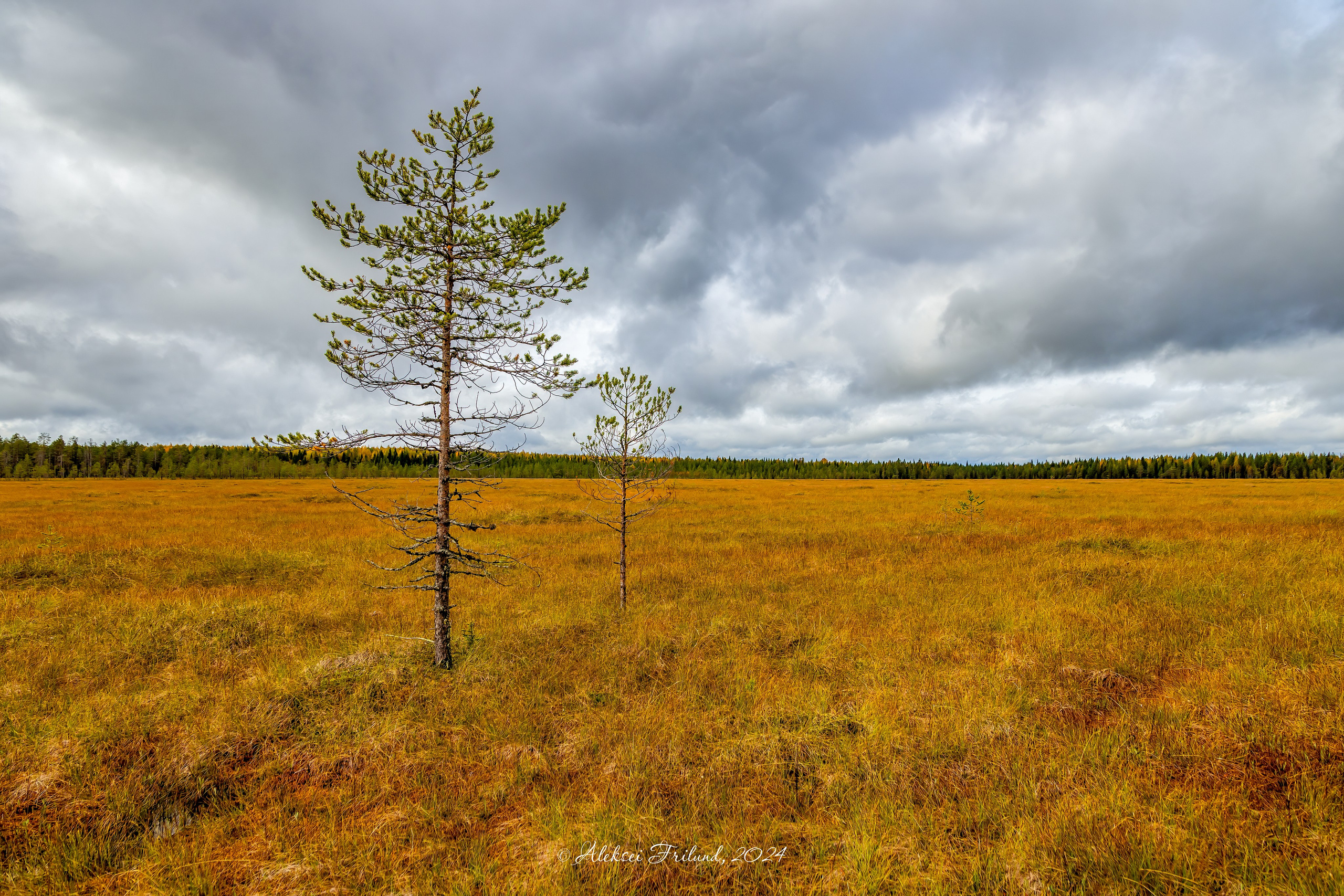 Природа Карелии. Аэросъемка. Фото и Видео в Карелии. Алексей Фрилунд