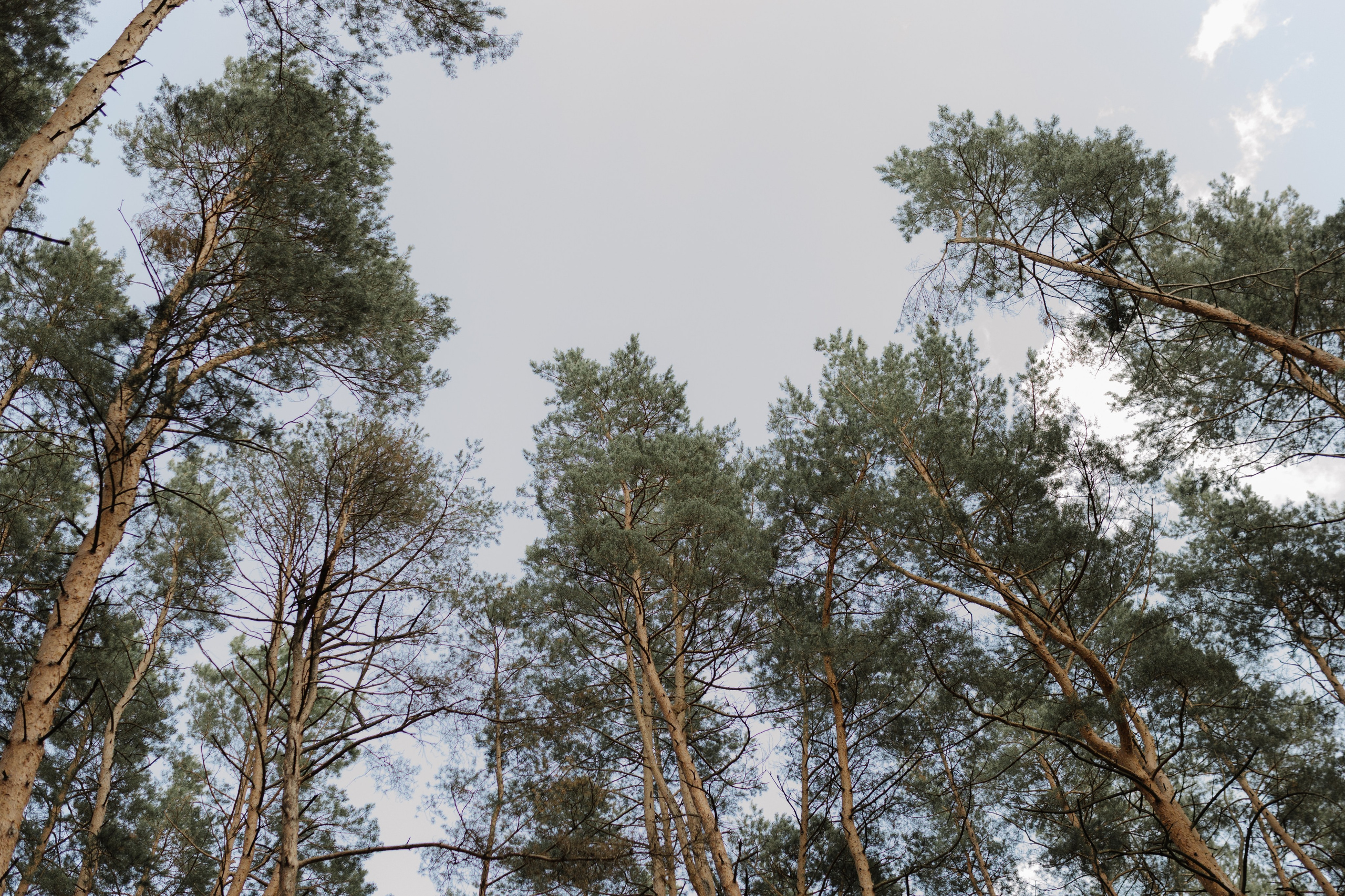 Родион и Валенина. Семейный фотограф в Обнинске