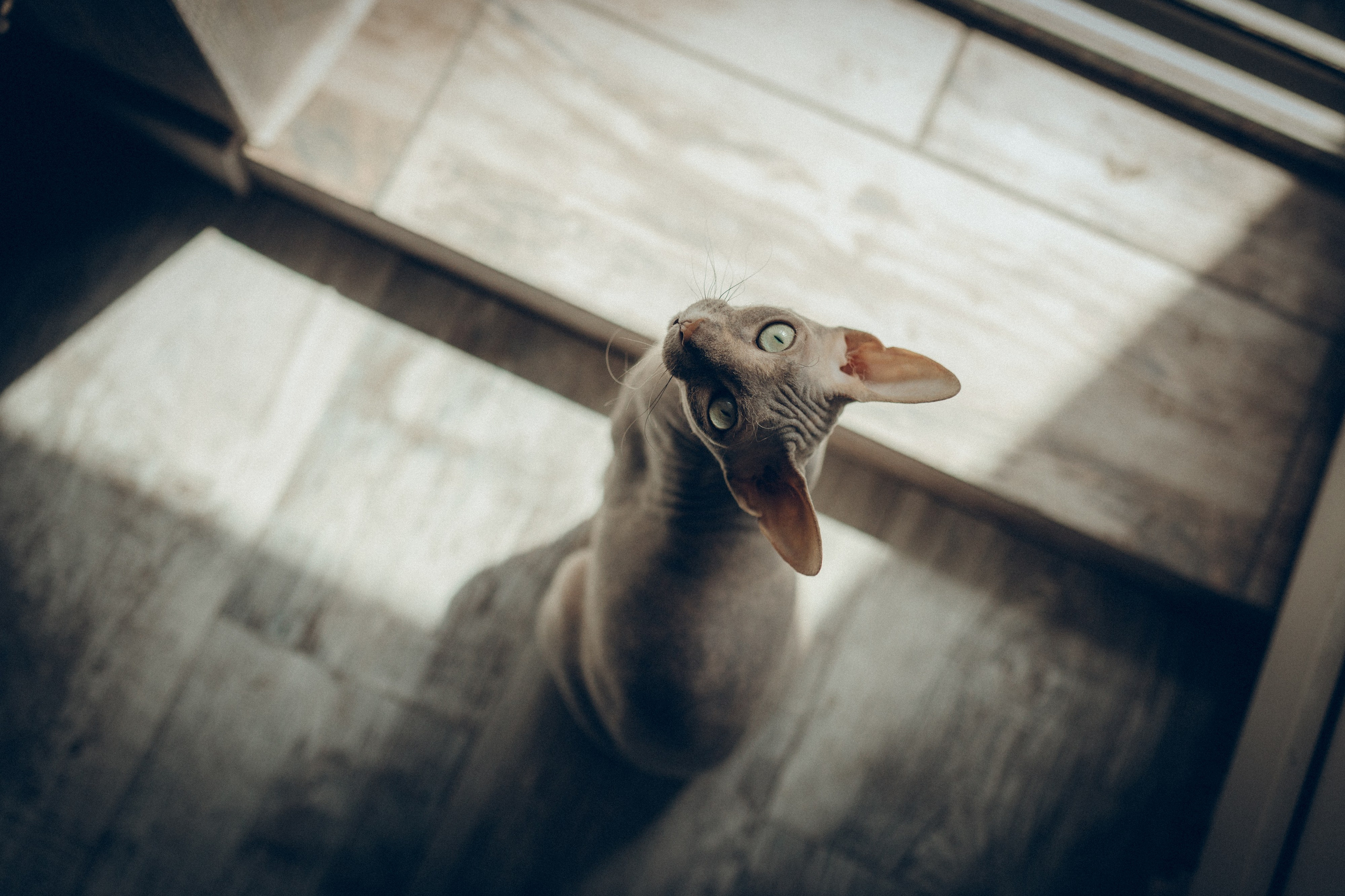 Света, Женя, Кирилл и Мышка. Семейный фотограф и фотограф на роды в Ростове-на-Дону Мухина Виктория