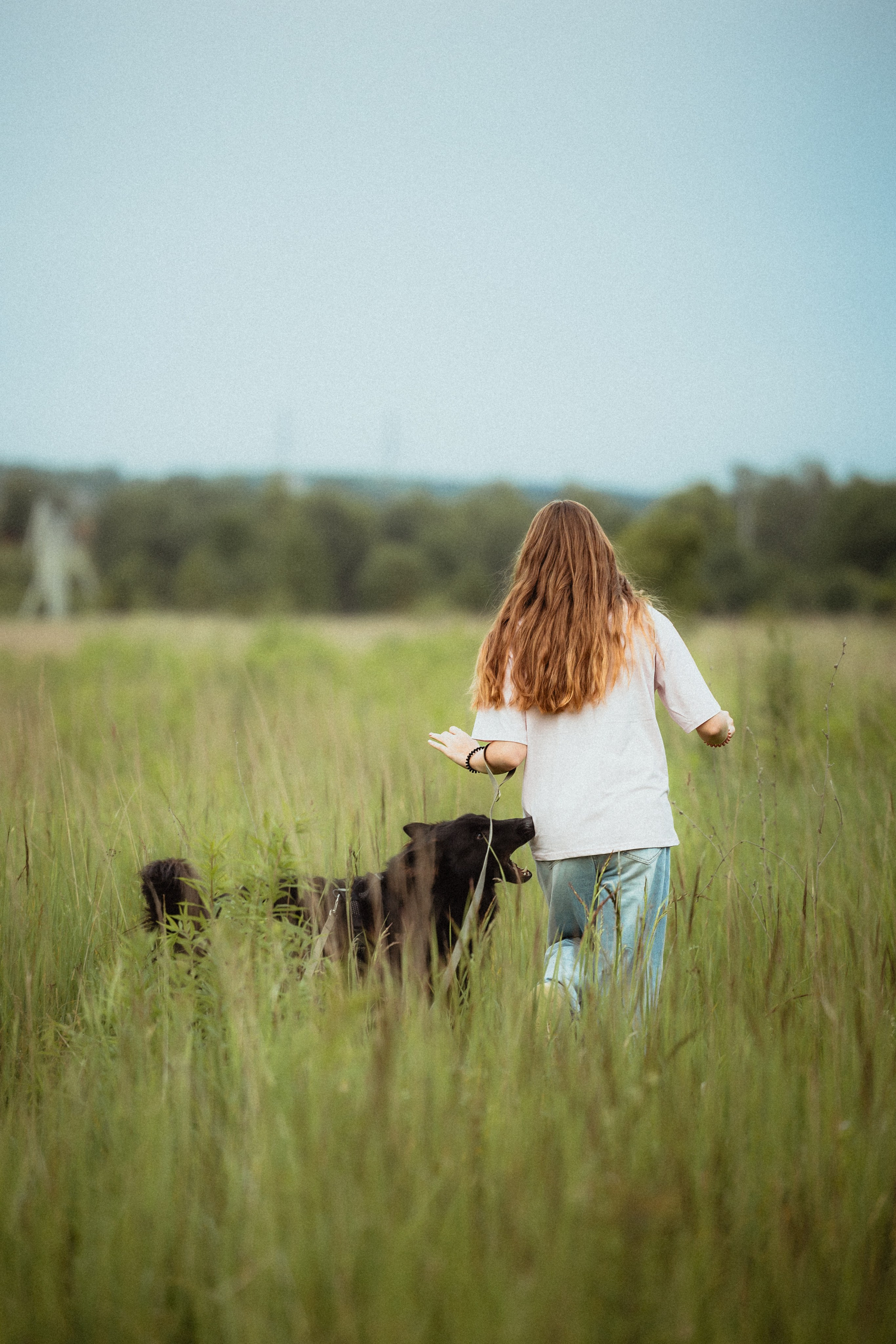 Выездной дог-тренинг от школы «Шерсть имею»