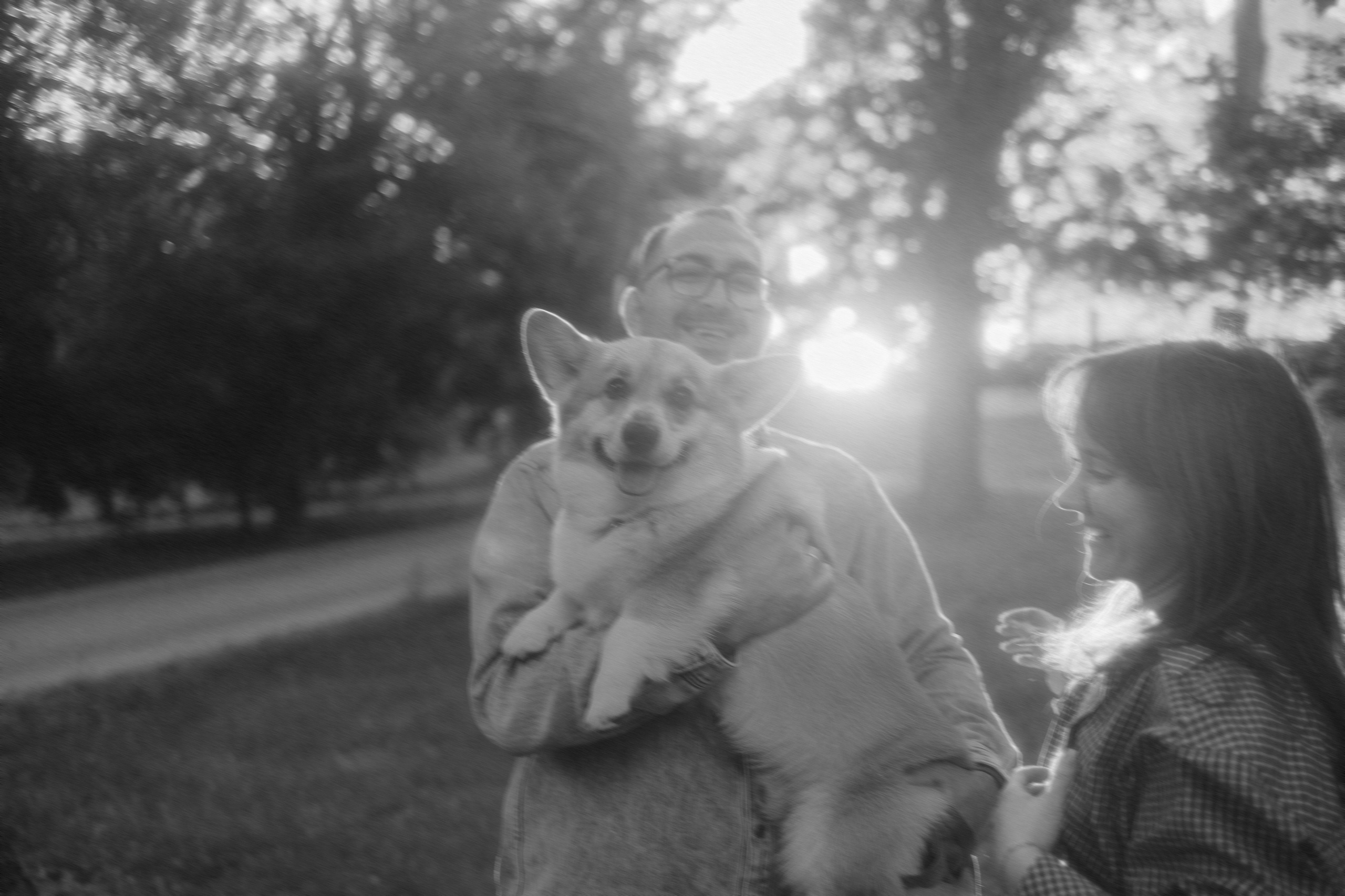 Момо, Люда и Эд. Фотограф анималист Анастасия Пикей