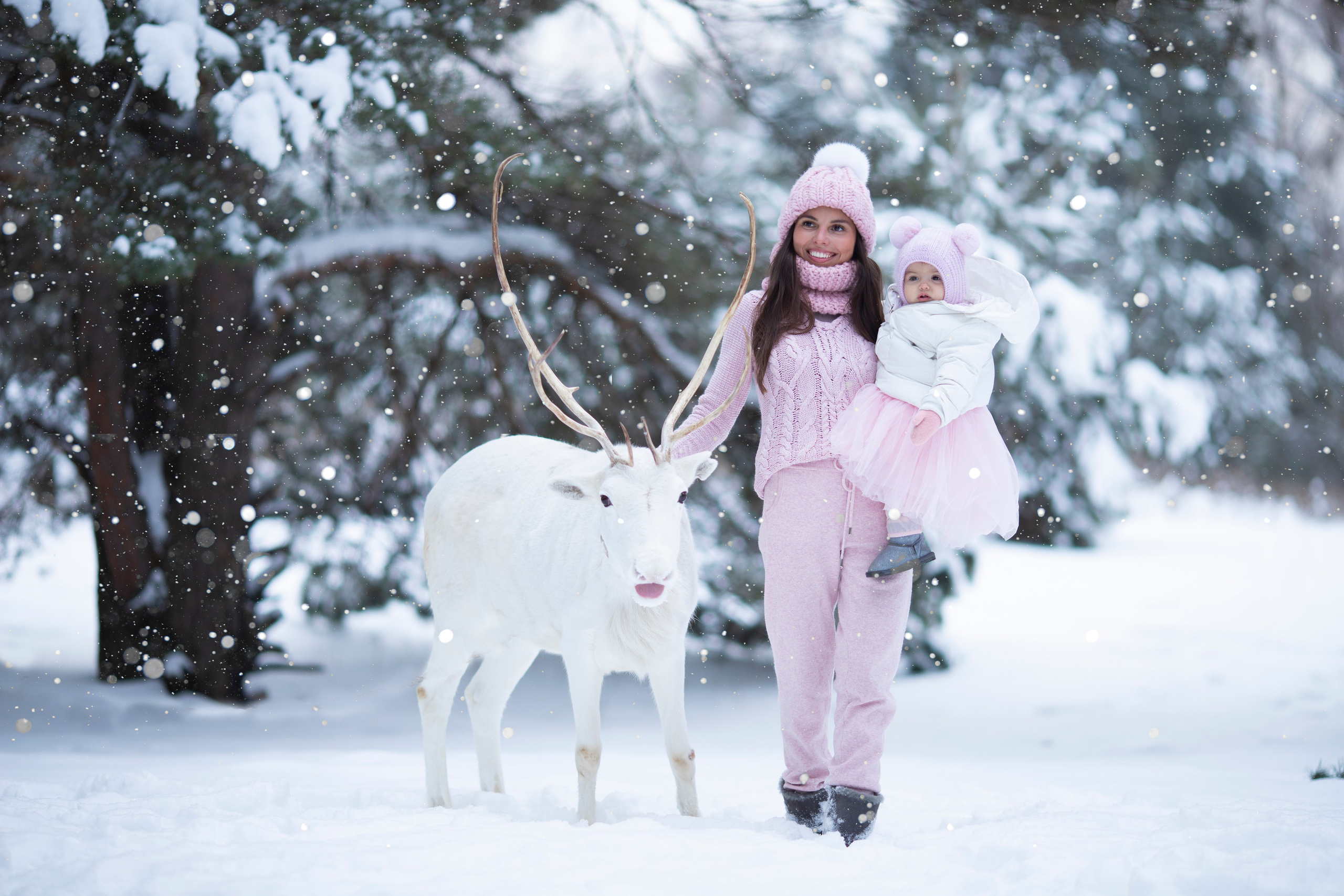 Зимние фотосессии с животными на улице. Фотопроекты, фотодни и фотосессии в Москве