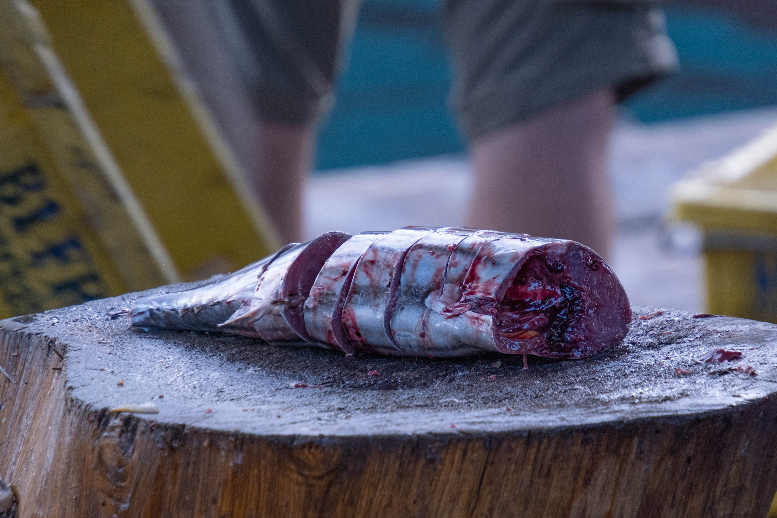 Остров Борнео, город Семпорна. Причал и рынок. Фотографии из путешествий