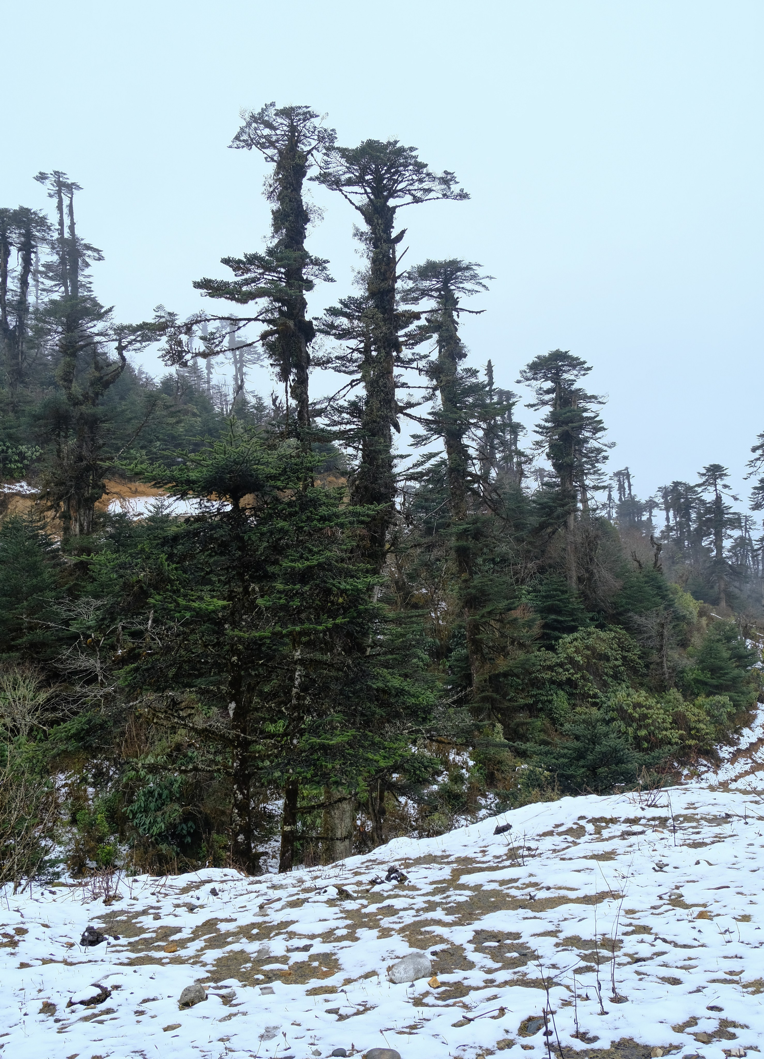 Индия Яки. Фотографии из путешествий