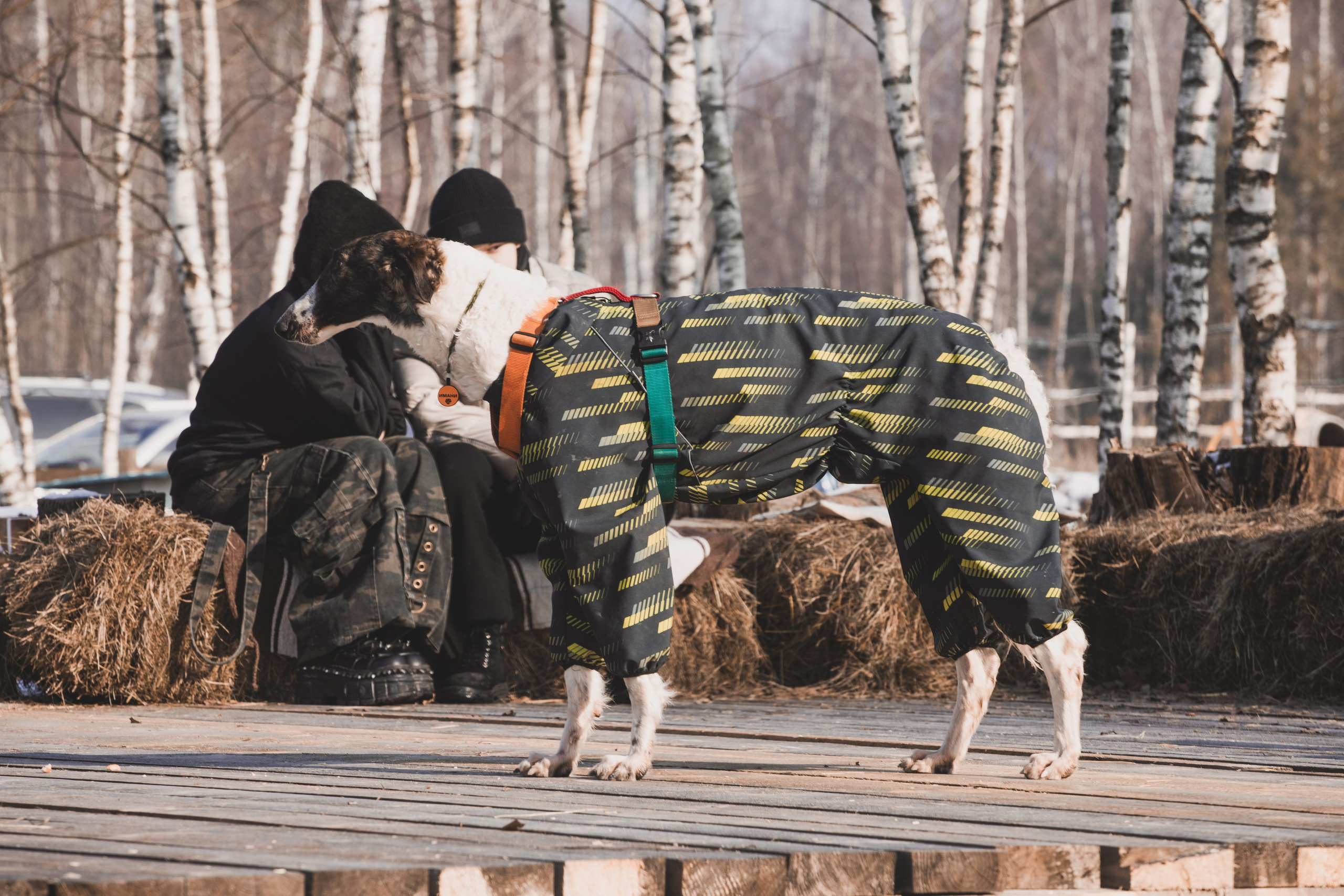 Масленица «КОЗЫ ДА БЕРЕЗЫ». Репортажный фотограф Елена Джаз в Москва