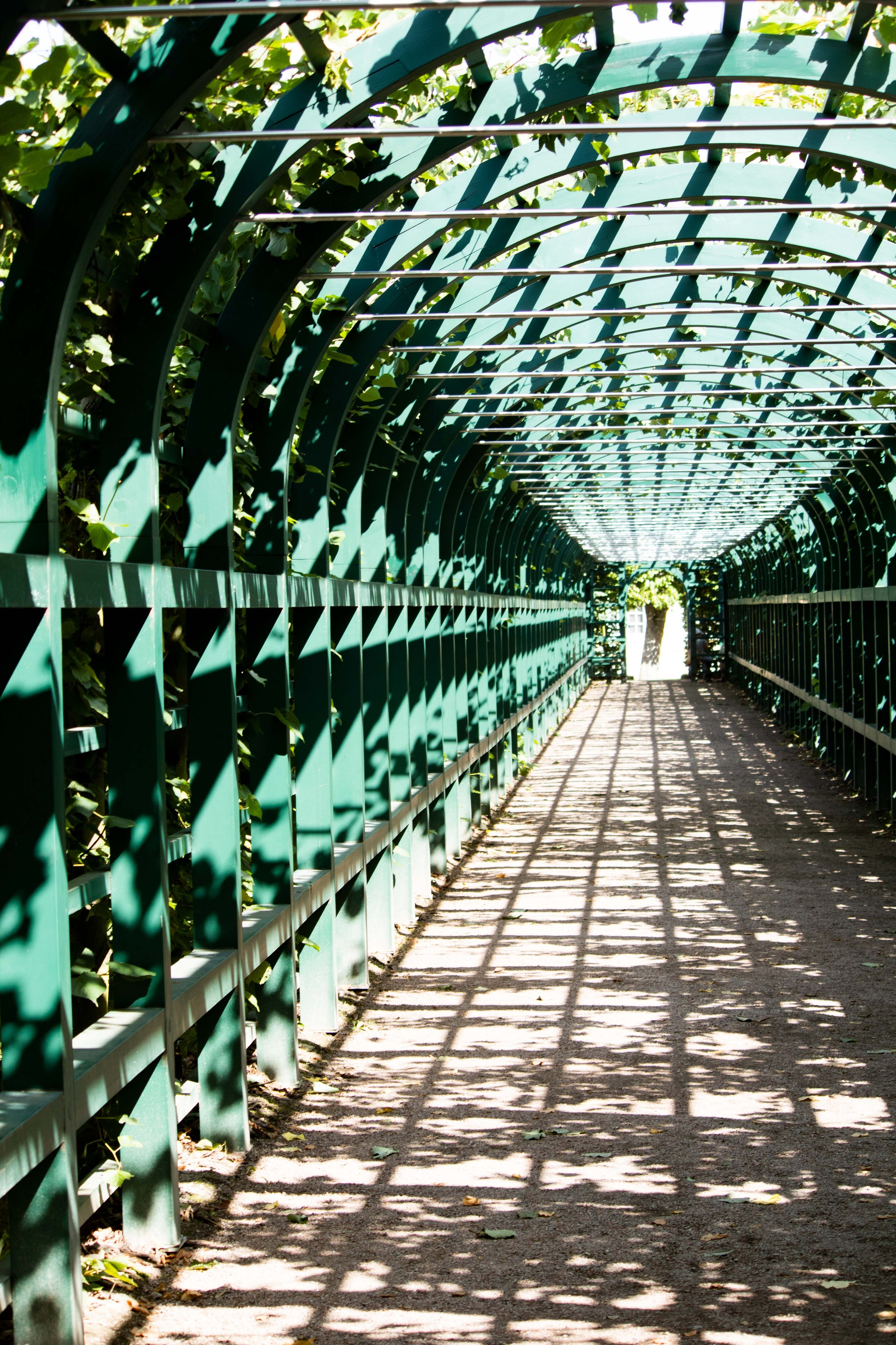 Верхний сад,  Петергоф