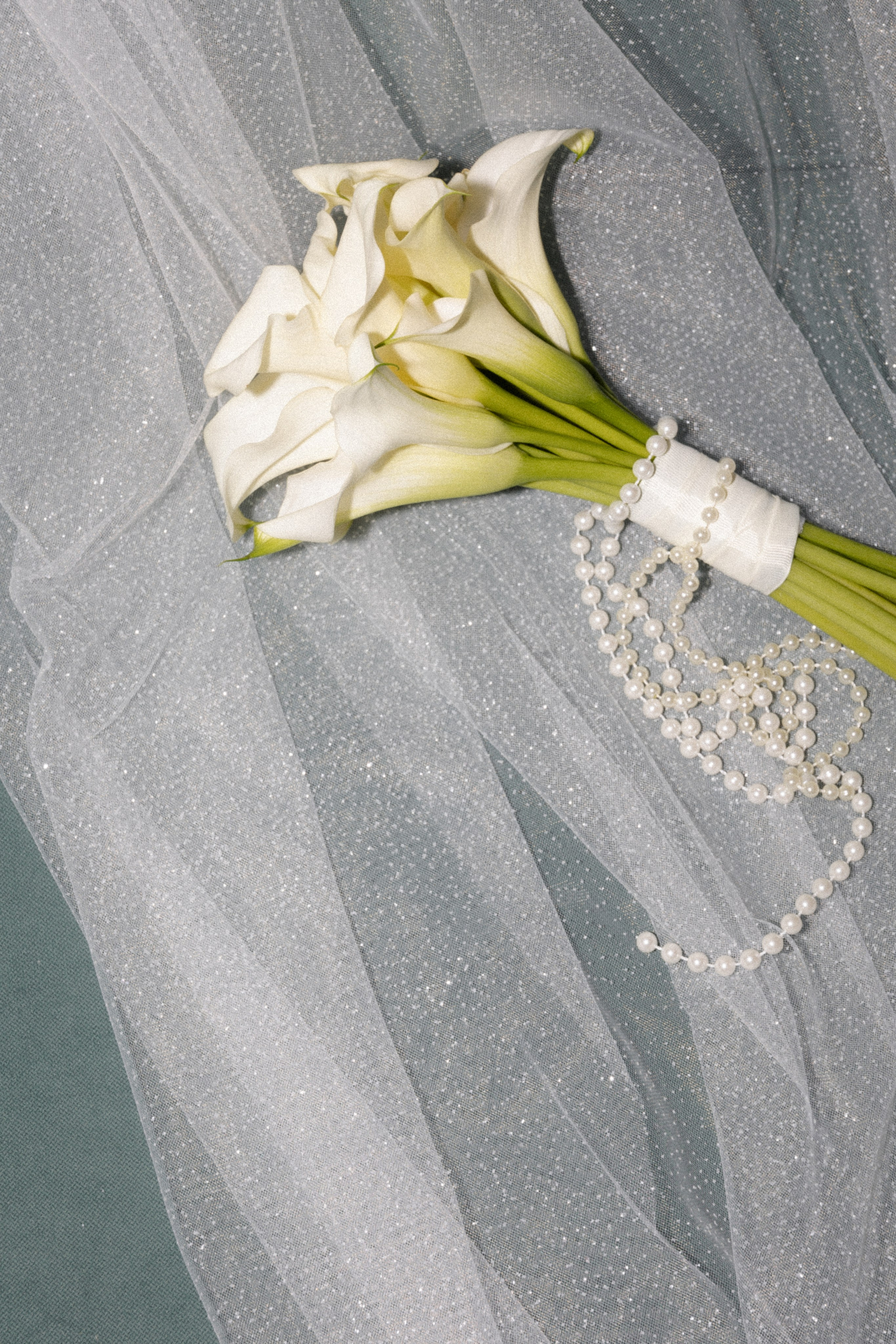 Александр и Арина. Фотограф Тюмень Пушковская Кристина