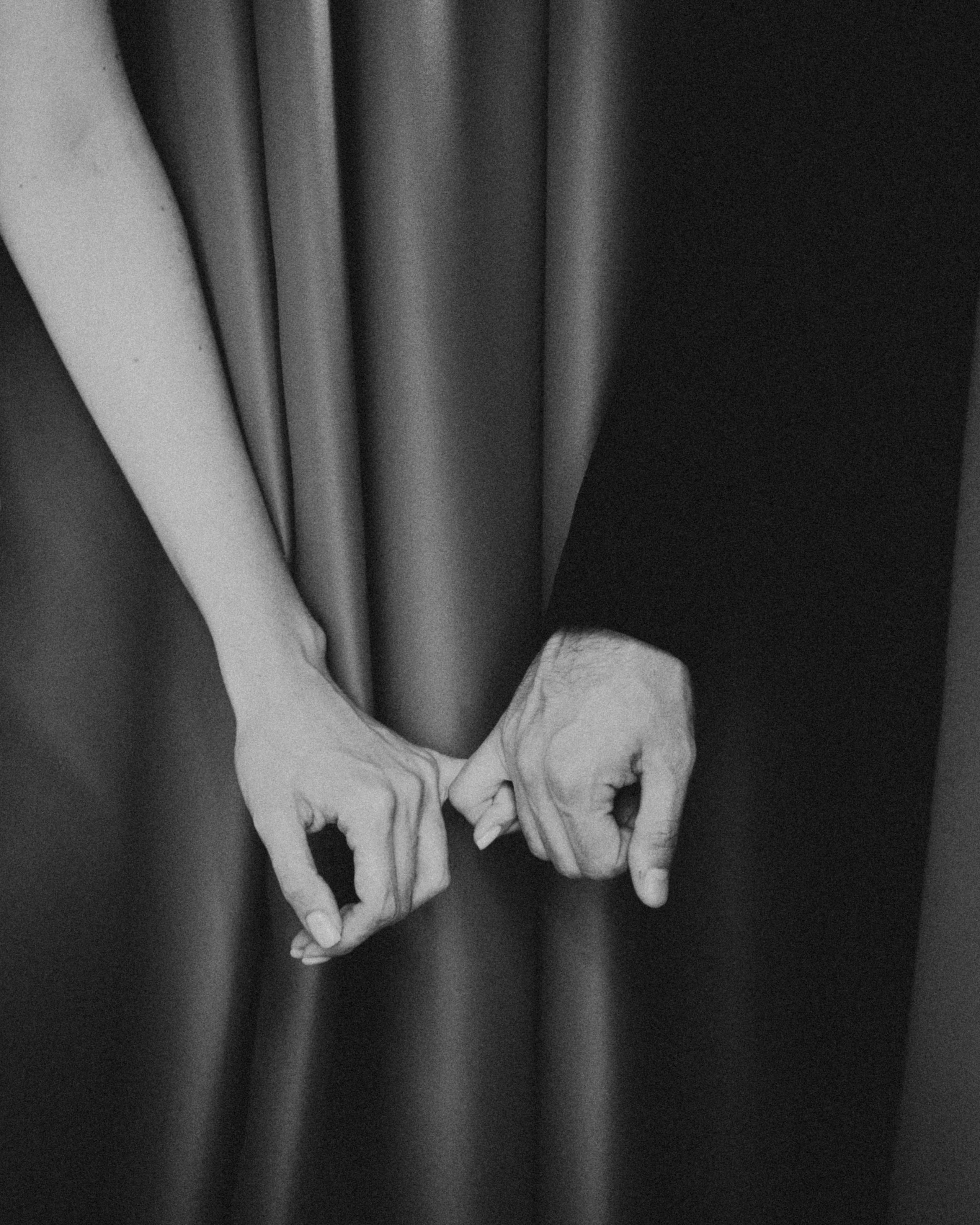 Follow the white rabbit. Вадим Зименков