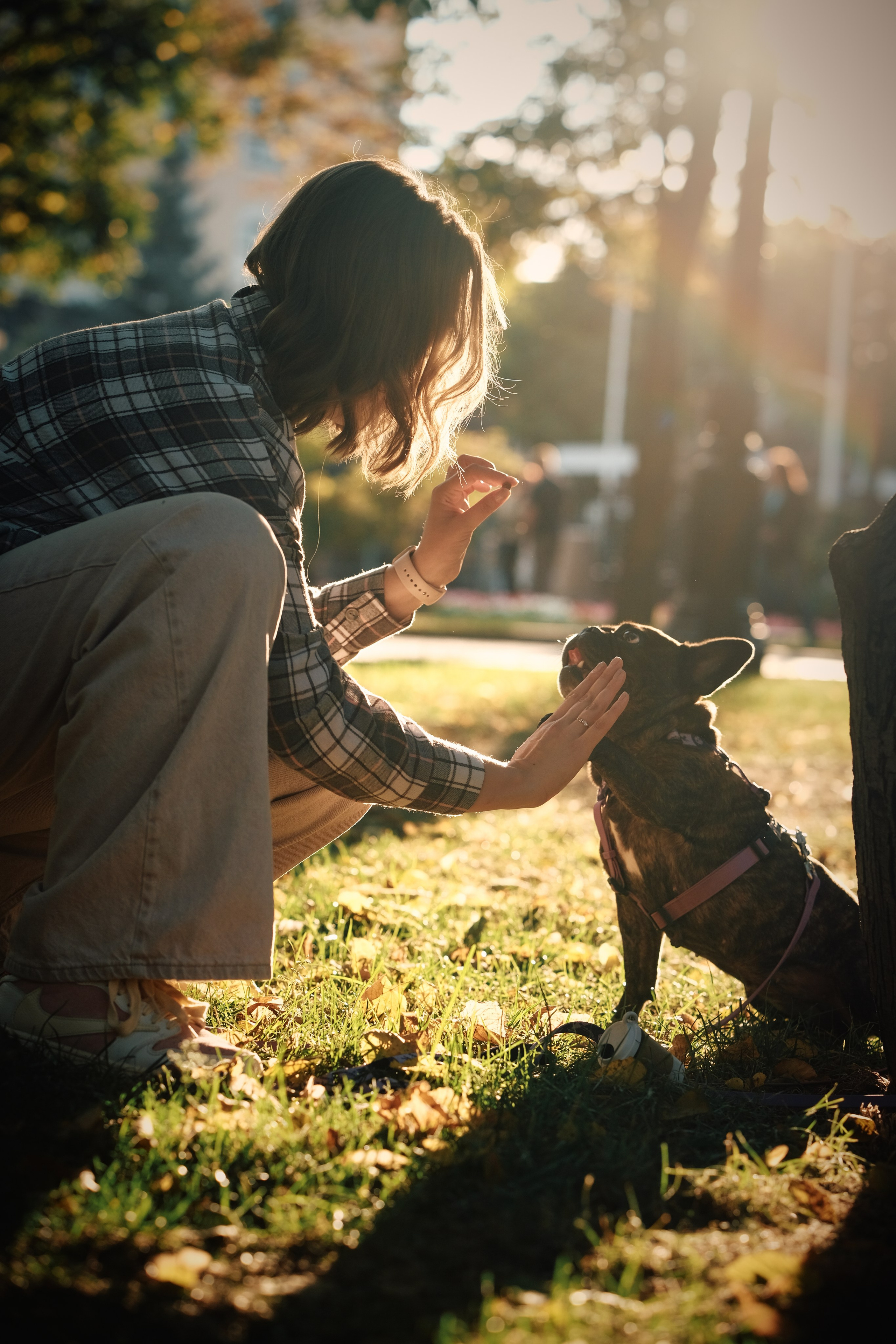 Love-story. Mixonphoto