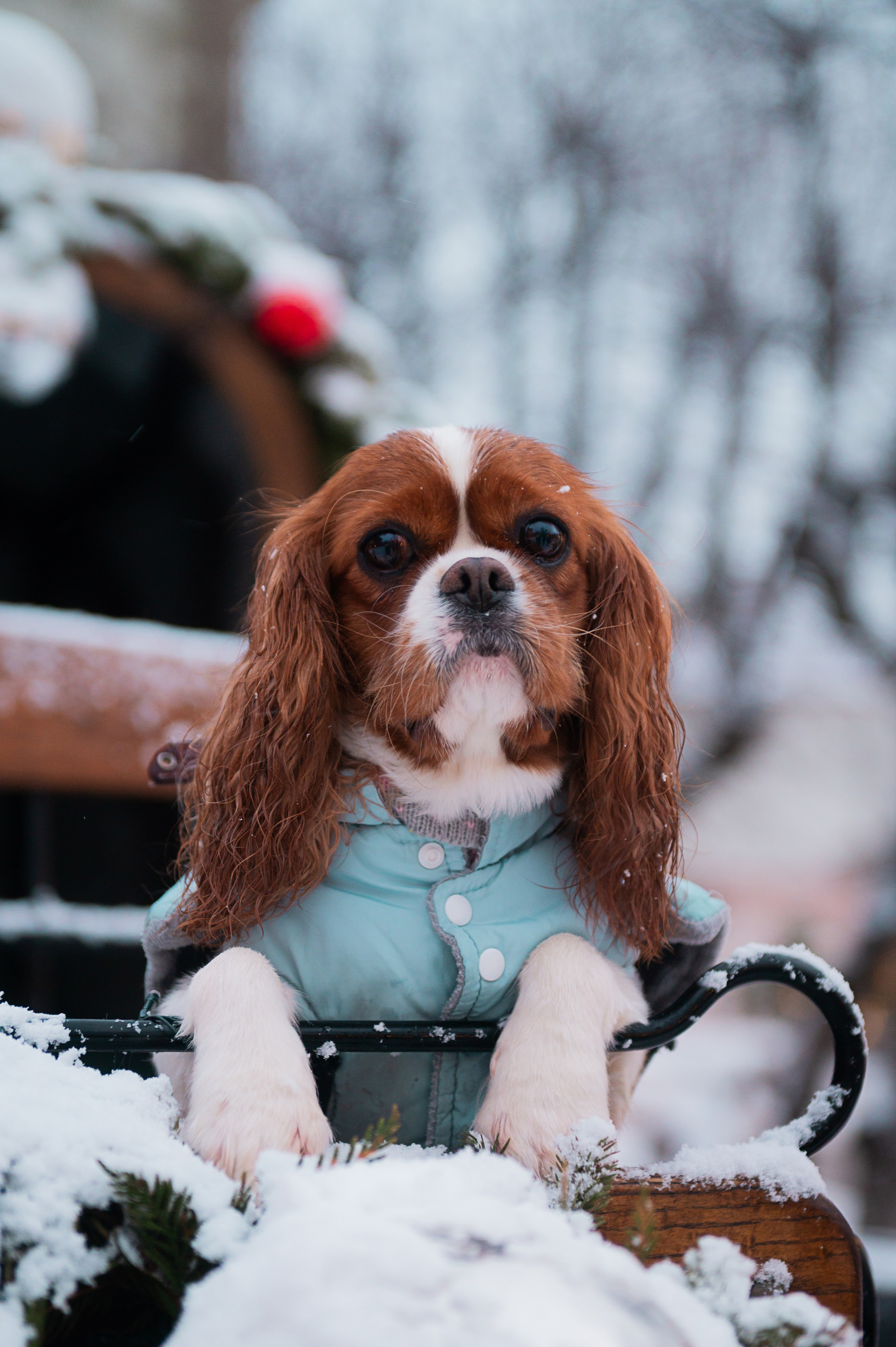 ФОТОПРОГУЛКИ. Фотограф Вера Демидкова