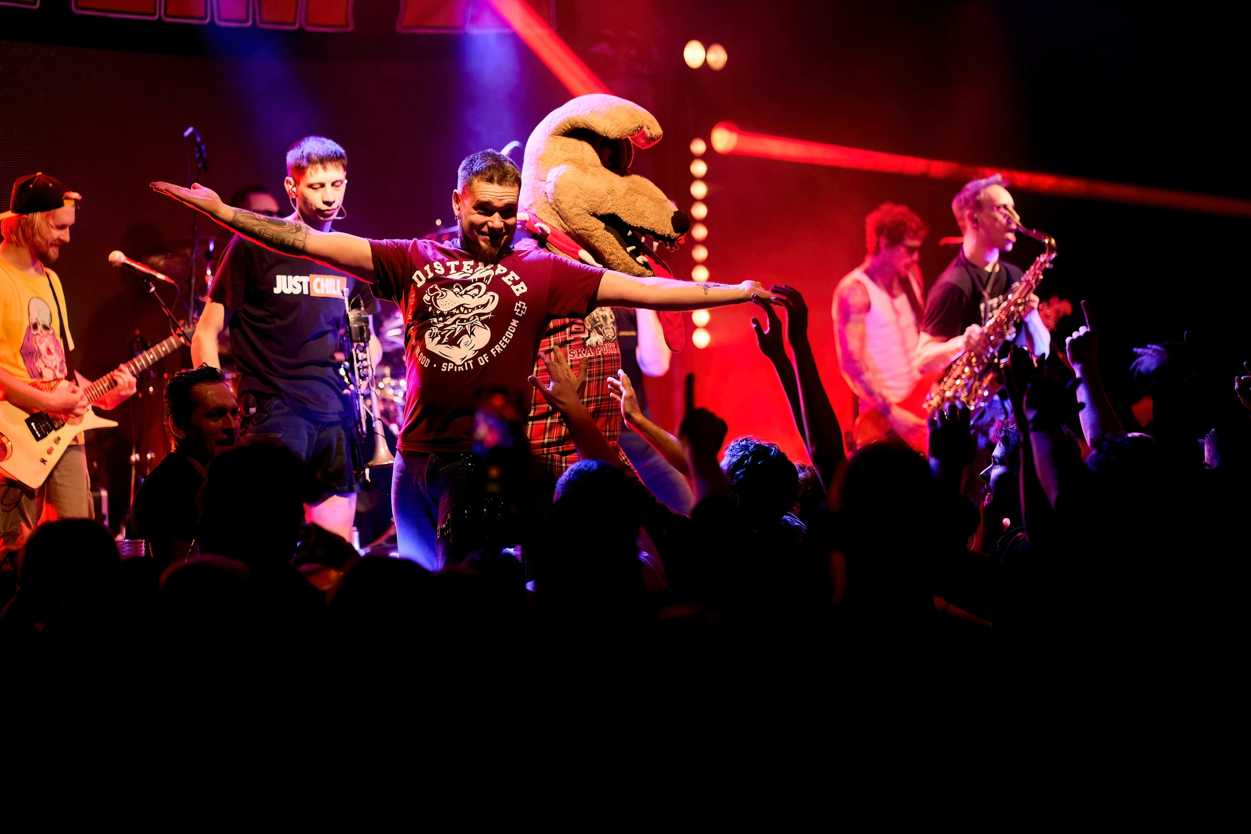 DISTEMPER / AGLOMERAT / 24.11.2023. Ekhovanov | фото- видеосъемка