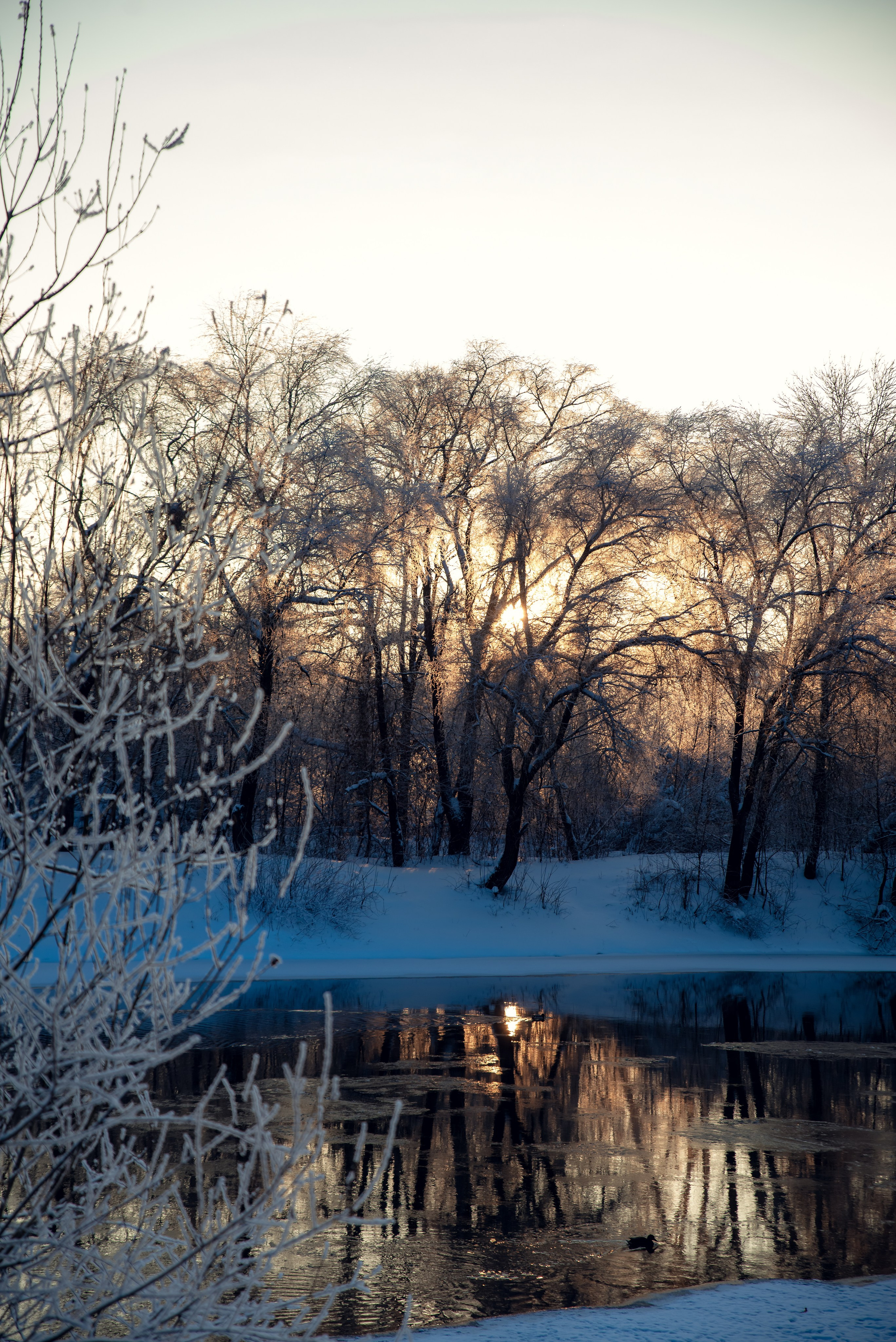Зимушка зима. Фотограф Крещение Венчание Москва