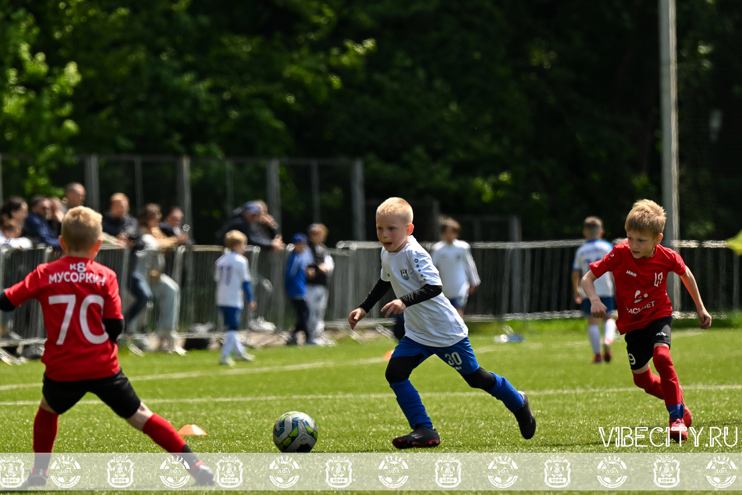 Большие Звезды светят Малым. VIBECITY.RU Вайб Сити Ру Фоторепортажи Фотоотчеты Калининград