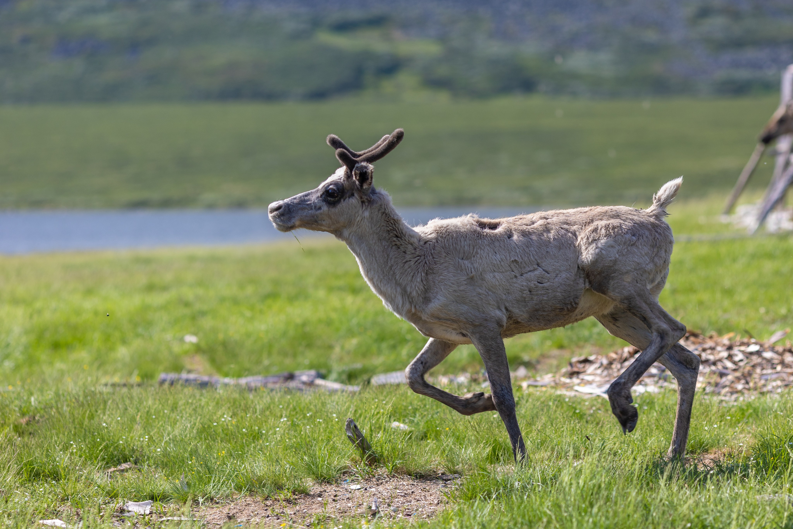 Приполярный Урал. Тревел-фотограф Олег Гуров