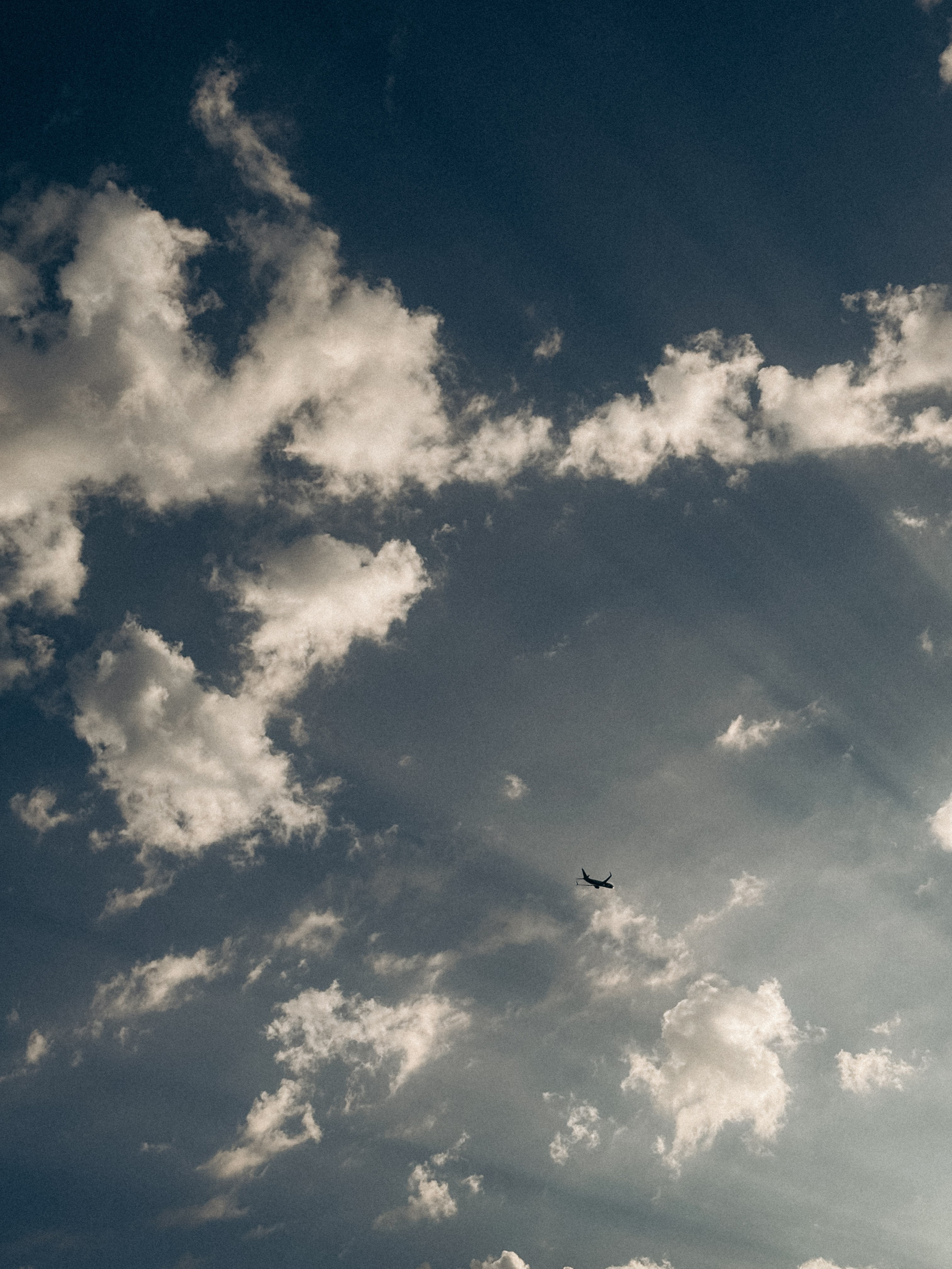 Iphone. Фотограф в Турции — Дарья Н