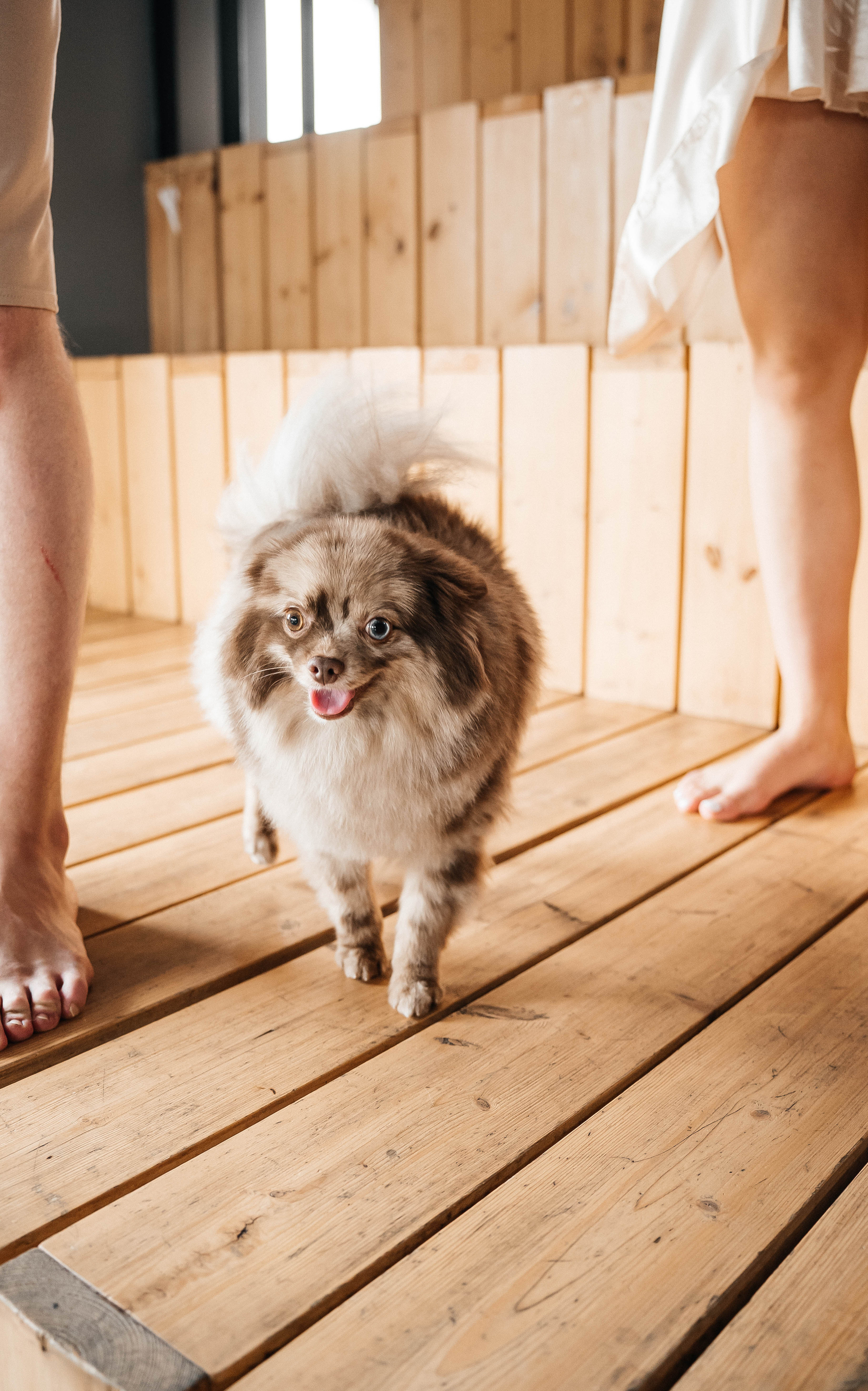 Артем и Анна. Свадебный фотограф Диана Грицай