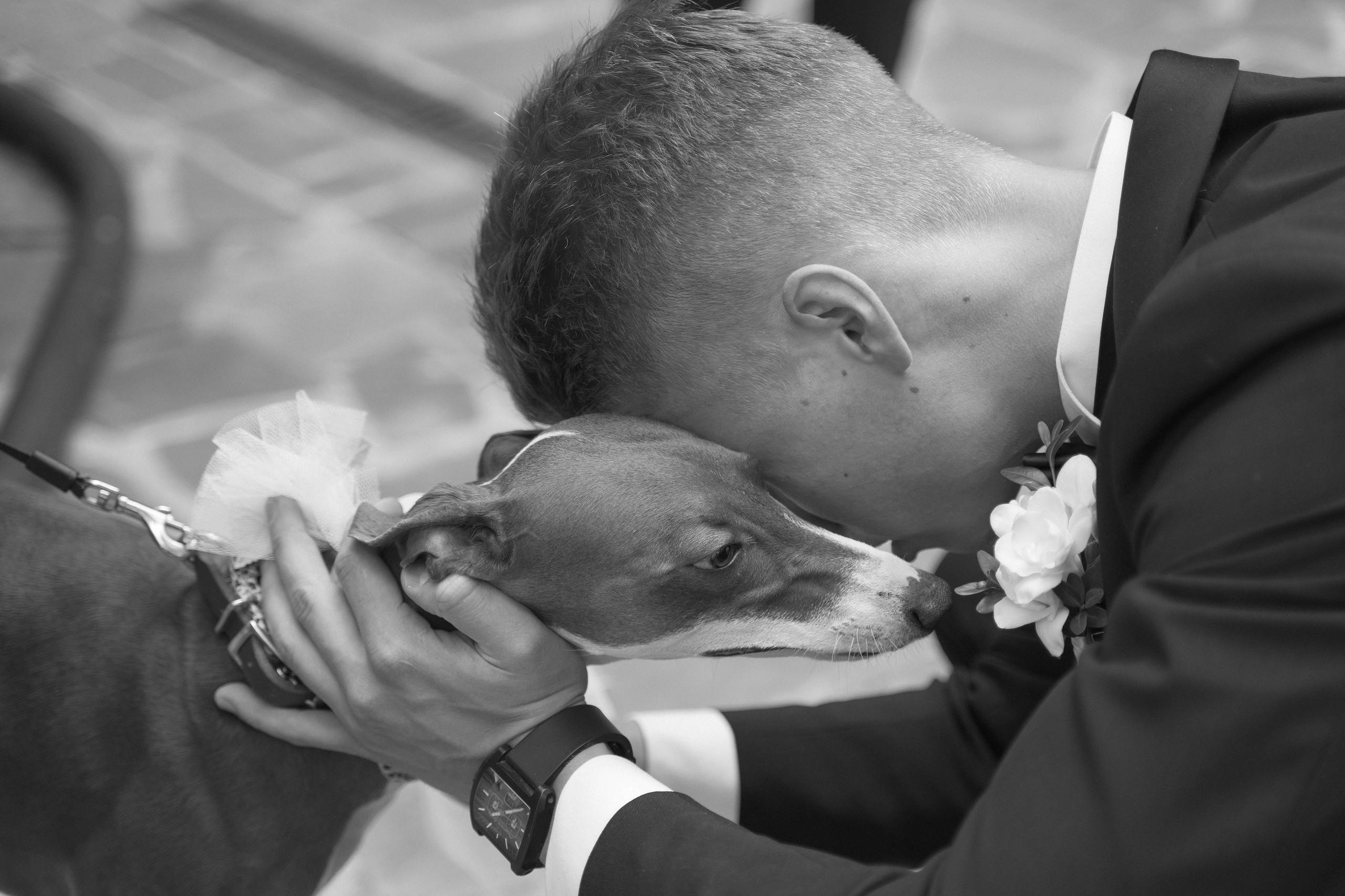 Иван и Ксения. Свадебный фотограф Диана Грицай