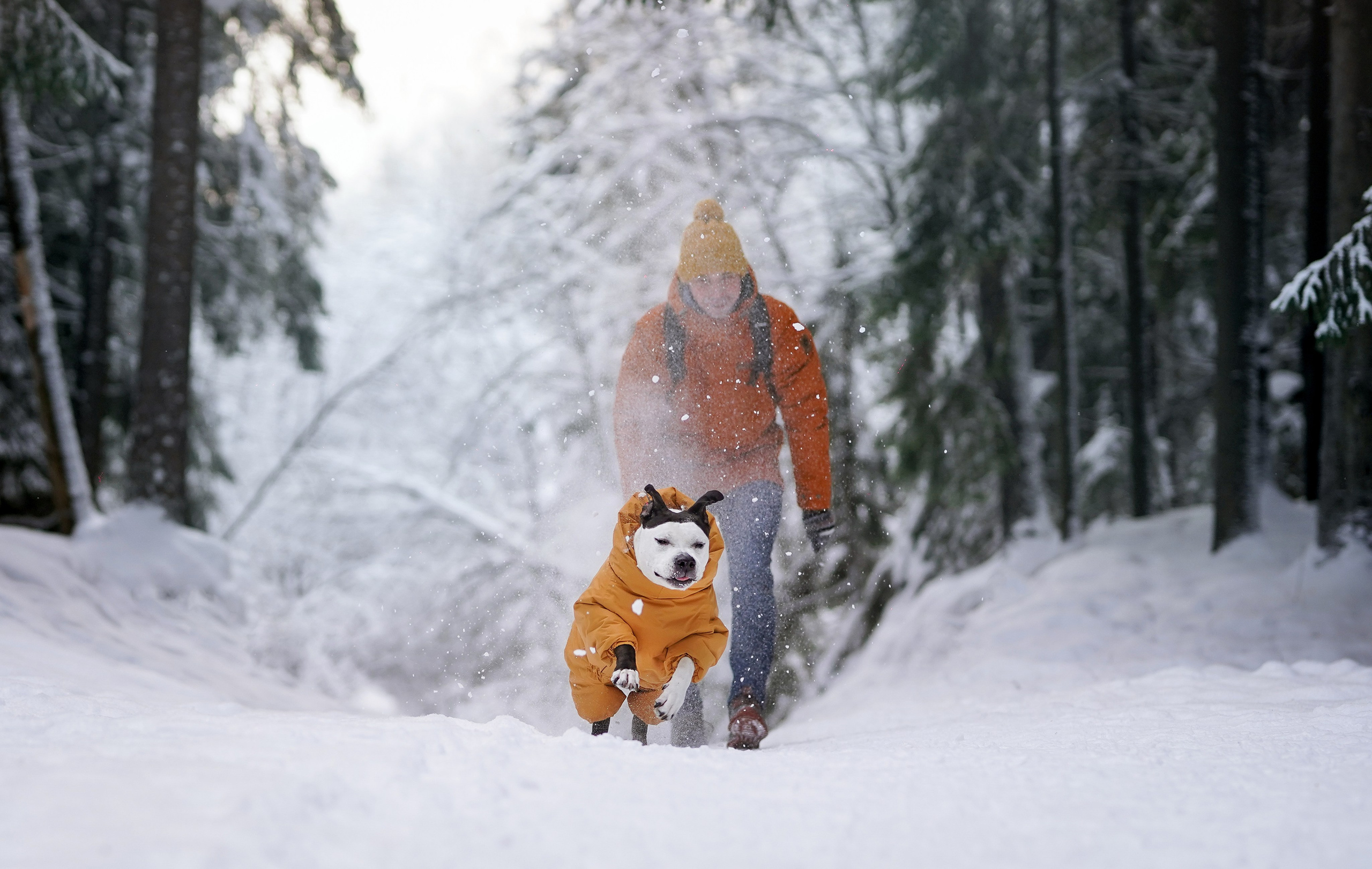 Маша Женя и Фиона. Фотограф-анималист в Санкт-Петербурге Яна Мартынова