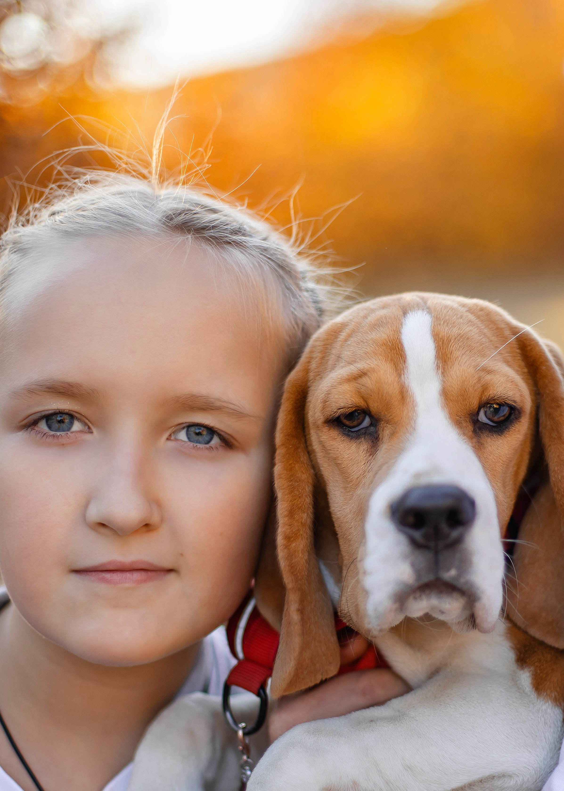 Софья & Боня. Фотограф Григорьева Ольга. Портретная, семейная съёмка, Love Stori, видеосъёмка в городе Чита. Выпускные альбомы, фотокниги