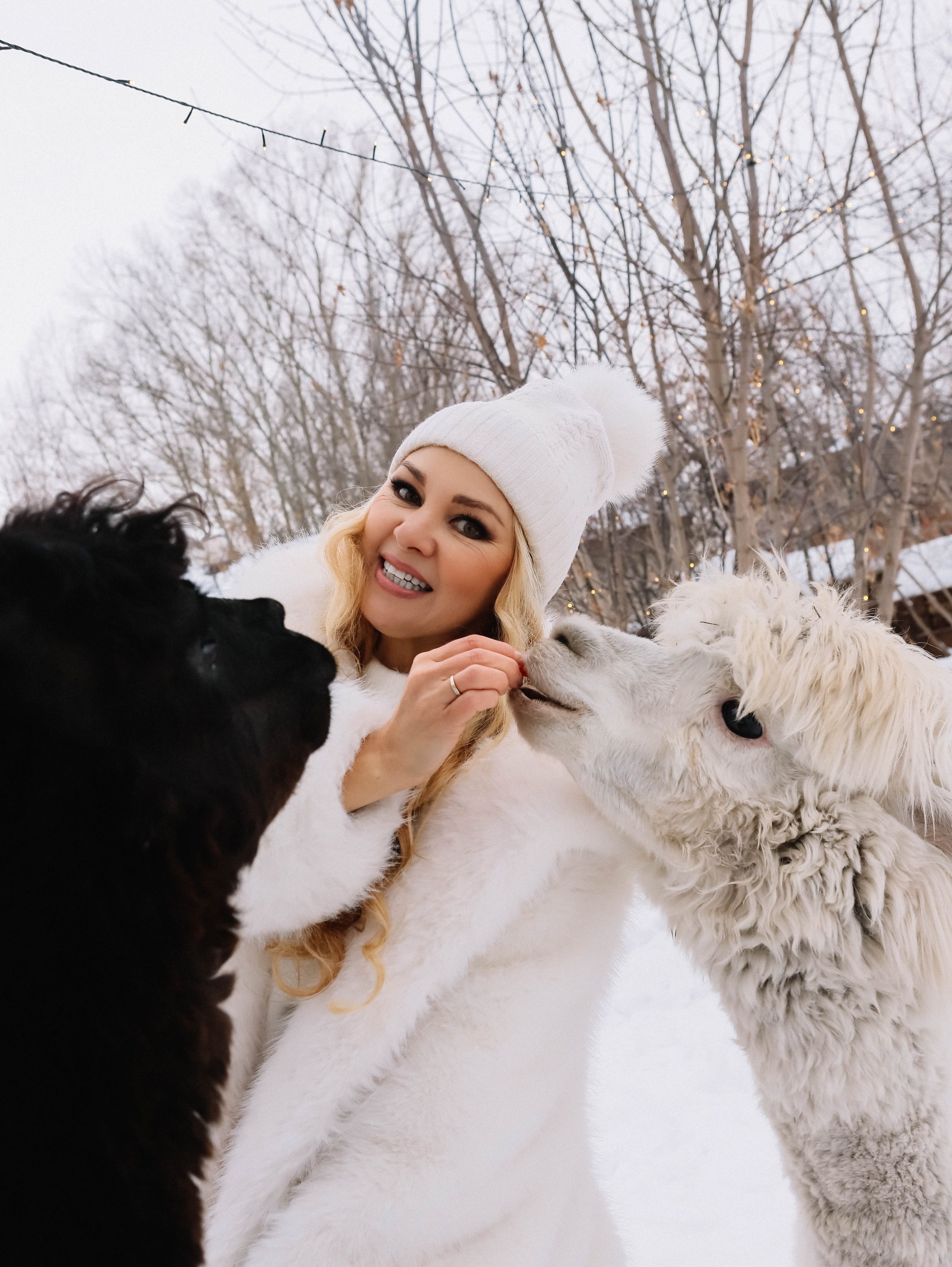 Альпак кафе. Профессиональный фотограф на любые случаи жизни