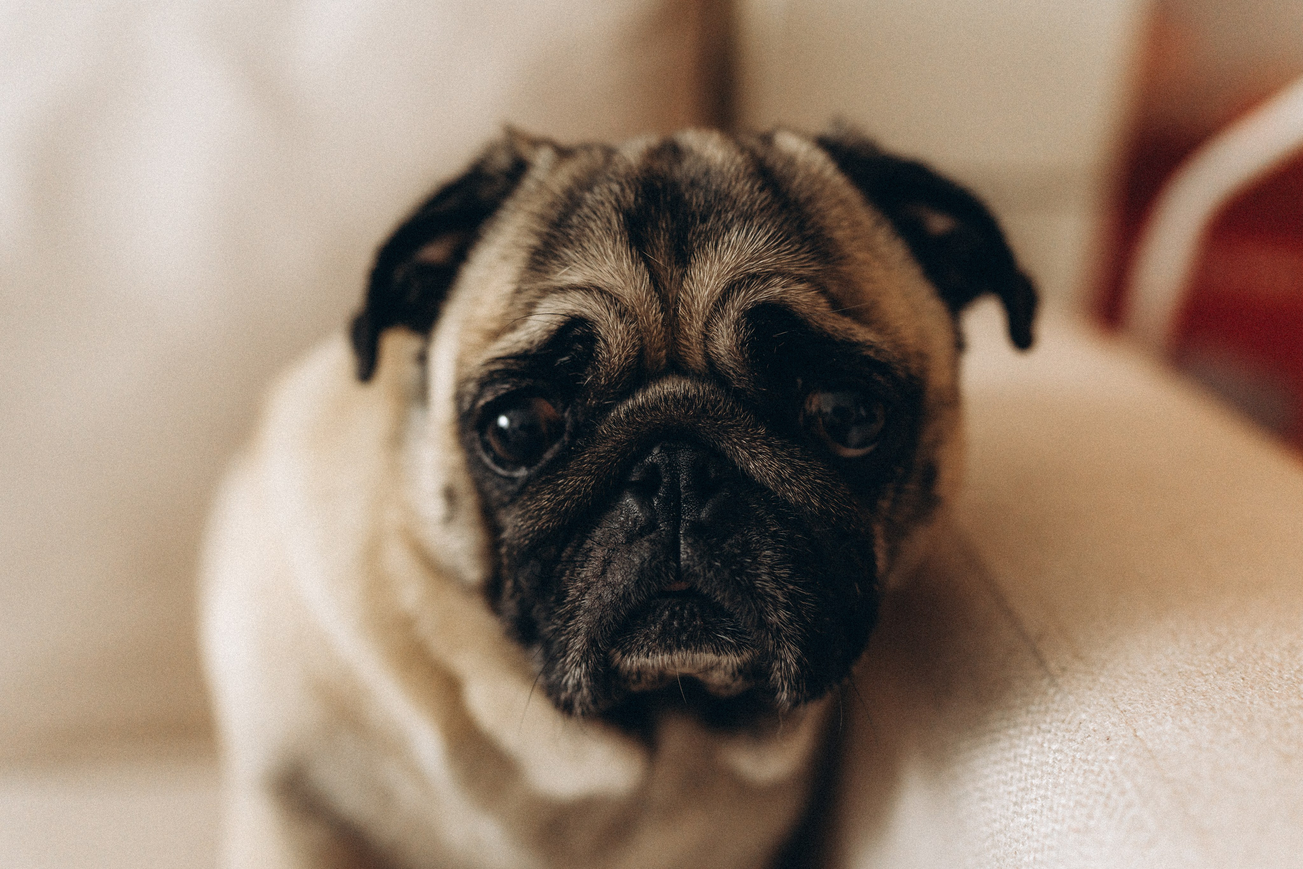 Уютная домашняя фотосессия Любы Димы Веры и Алины. Детский, семейный и ньюборн фотограф в Москве Юлия Шуарт