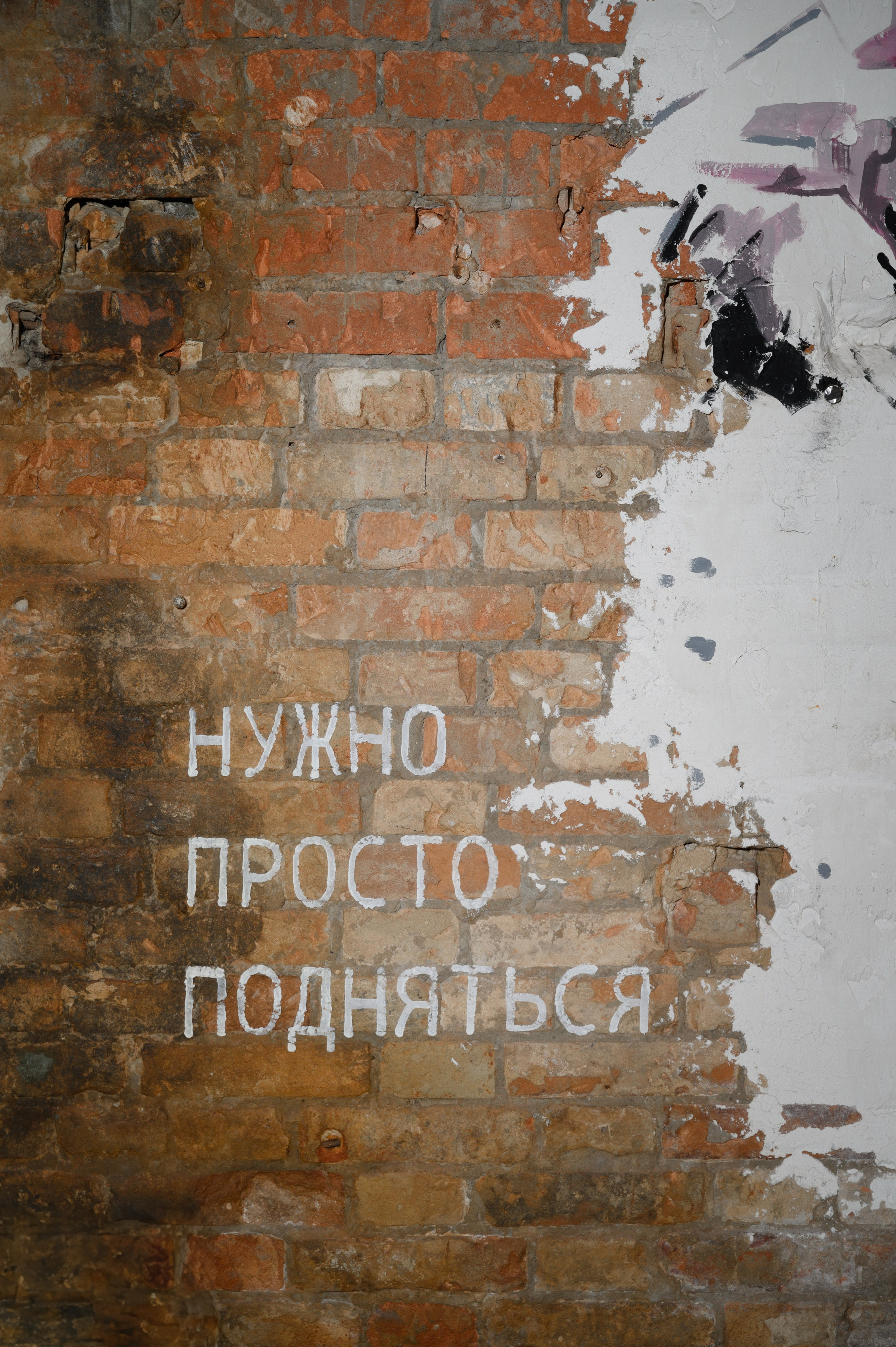 На вершине праздника: день рождения в шотландском стиле. Свадебный фотограф Константинова Елена