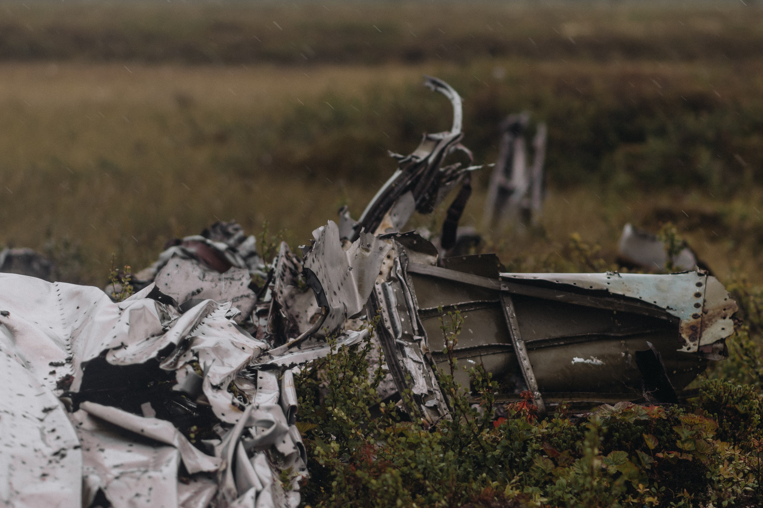 По следам упавших самолетов… Мурманская область, Кольский полуостров. 17–16 августа 2025 г. Юлия Щёкотова | Портретный и семейный фотограф | Вологда