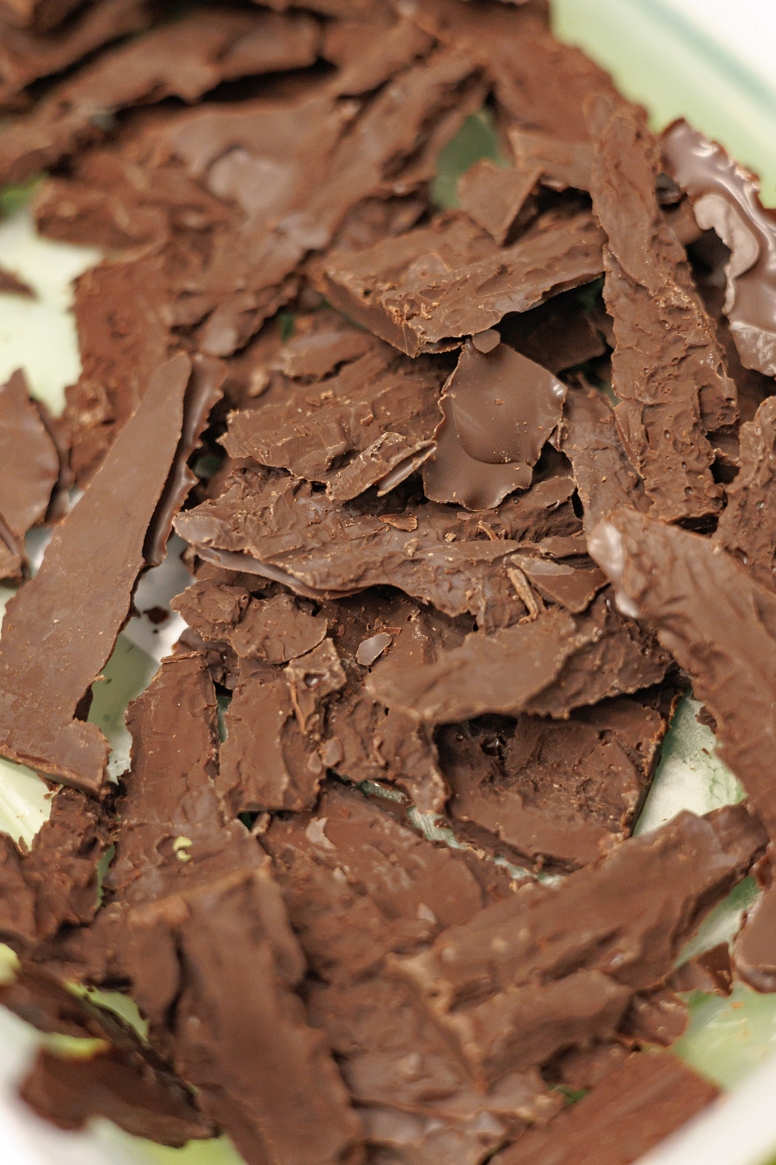 Гастроужин Поселенцы в гостях у Самозванцев