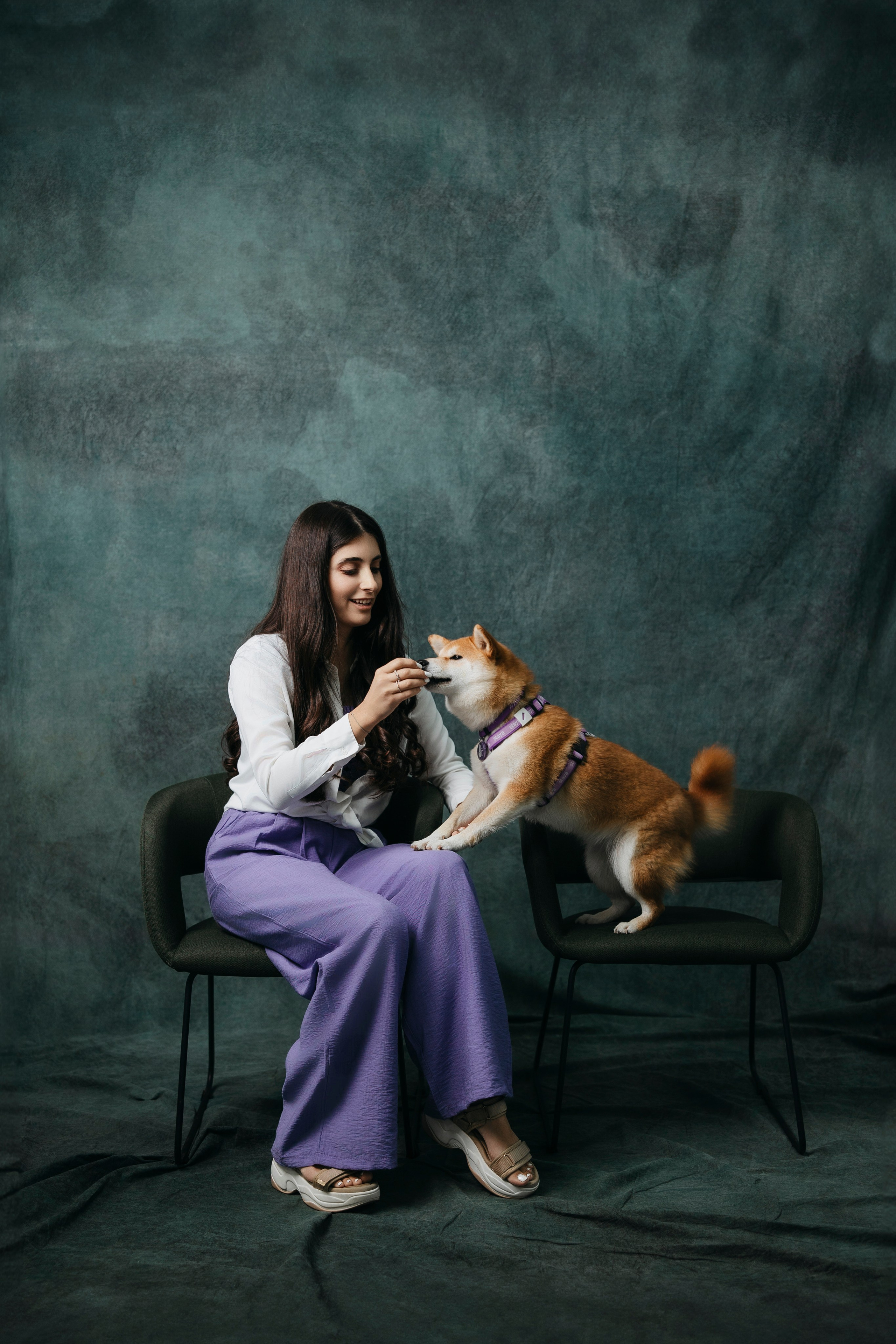 Съемка в студии с собакой. Анастасия Белаш