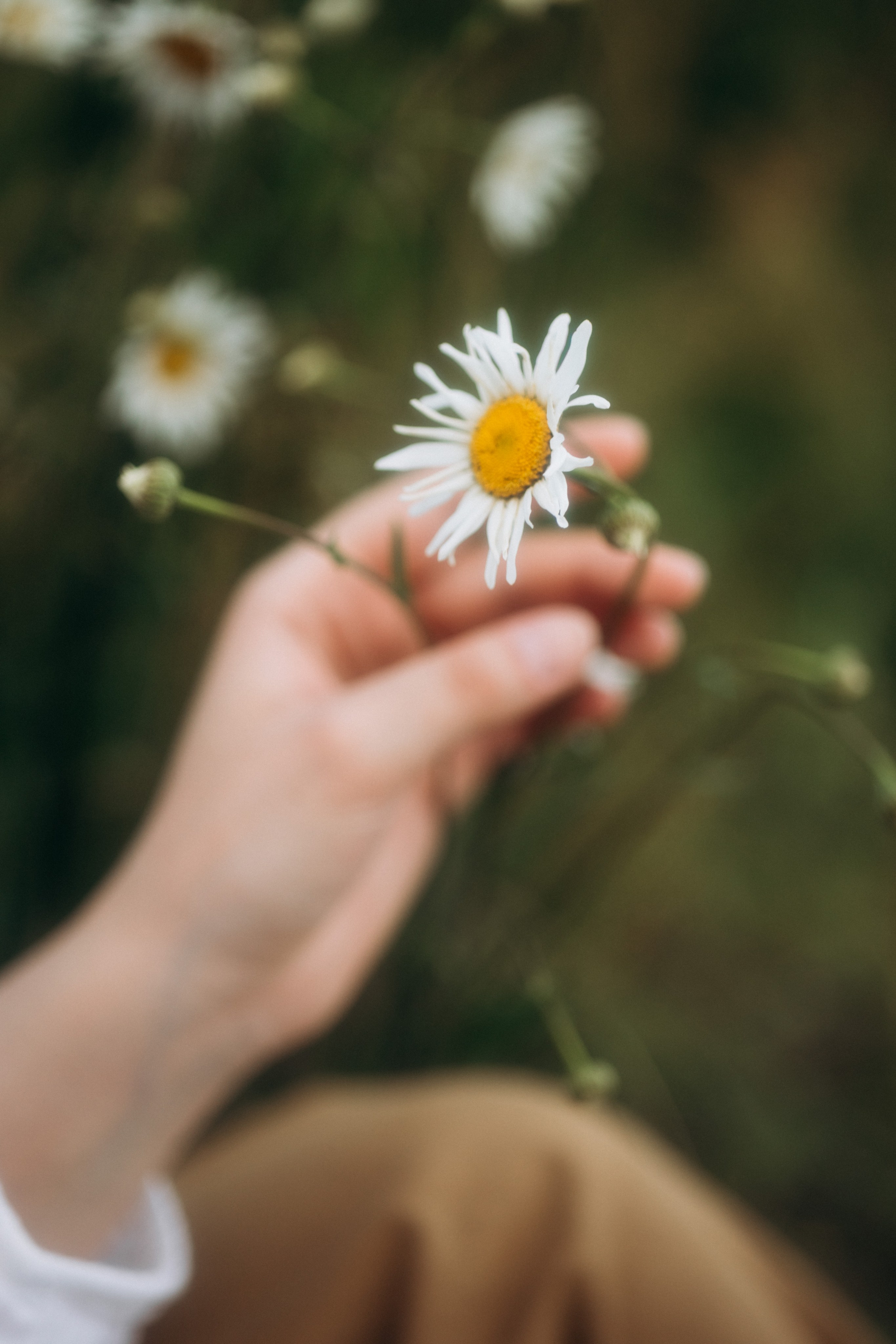 Лето. Фотограф Валерия Ковпак. Москва. Химки. Куркино