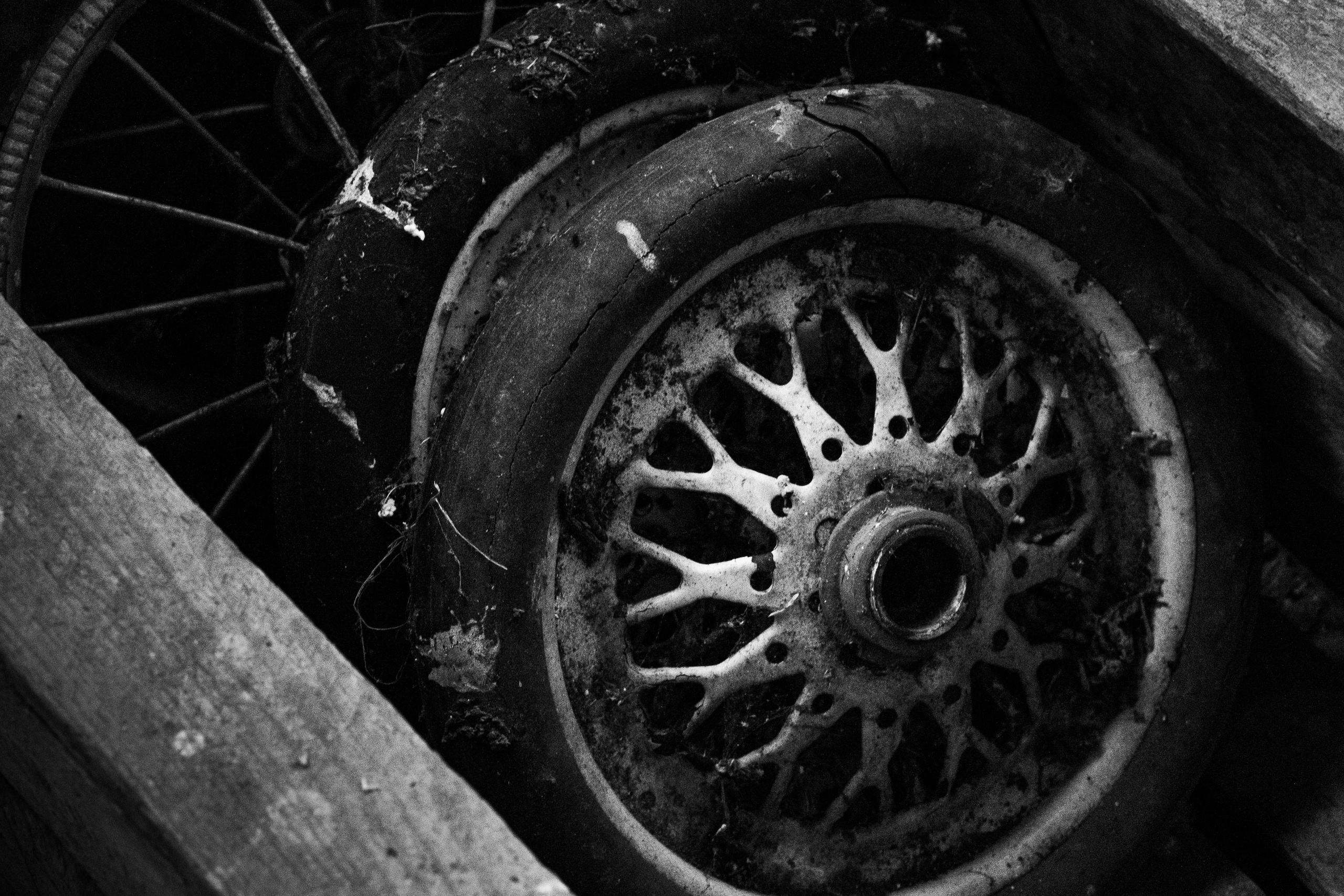 ЧБ. Художественный фотограф в Калуге