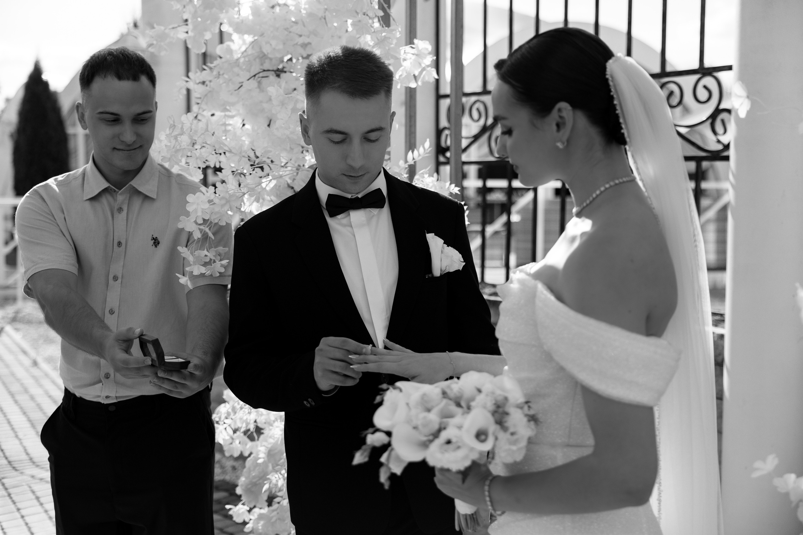 Евгения & Дмитрий. Фотограф Сотникова Вероника