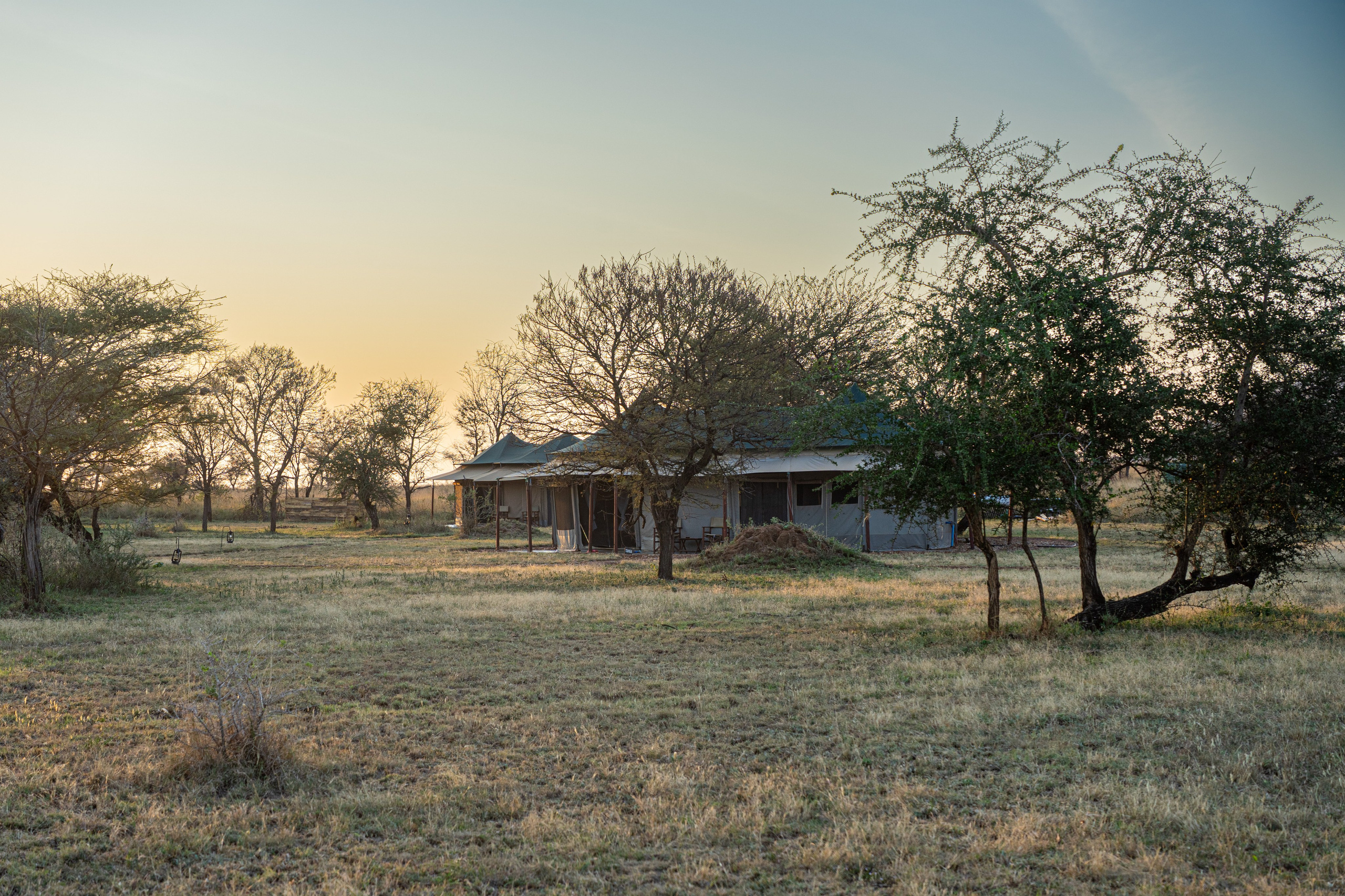 Танзания, сафари, 2025. Творческие сьемки