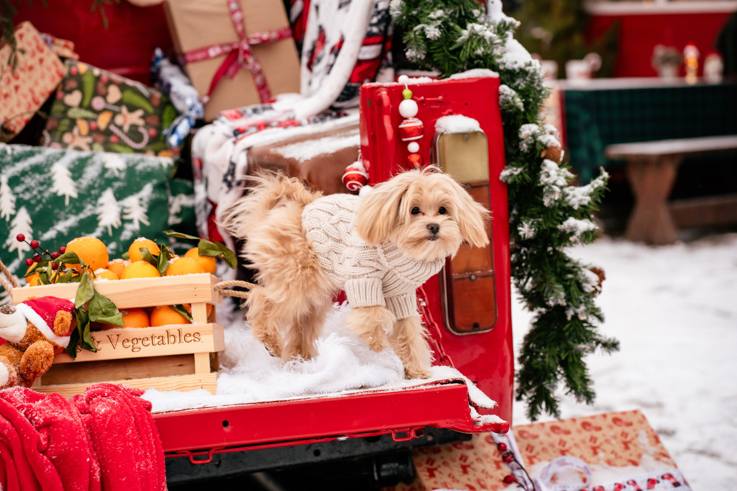 Фотодача «Калина» зима/новый год. Мои работы