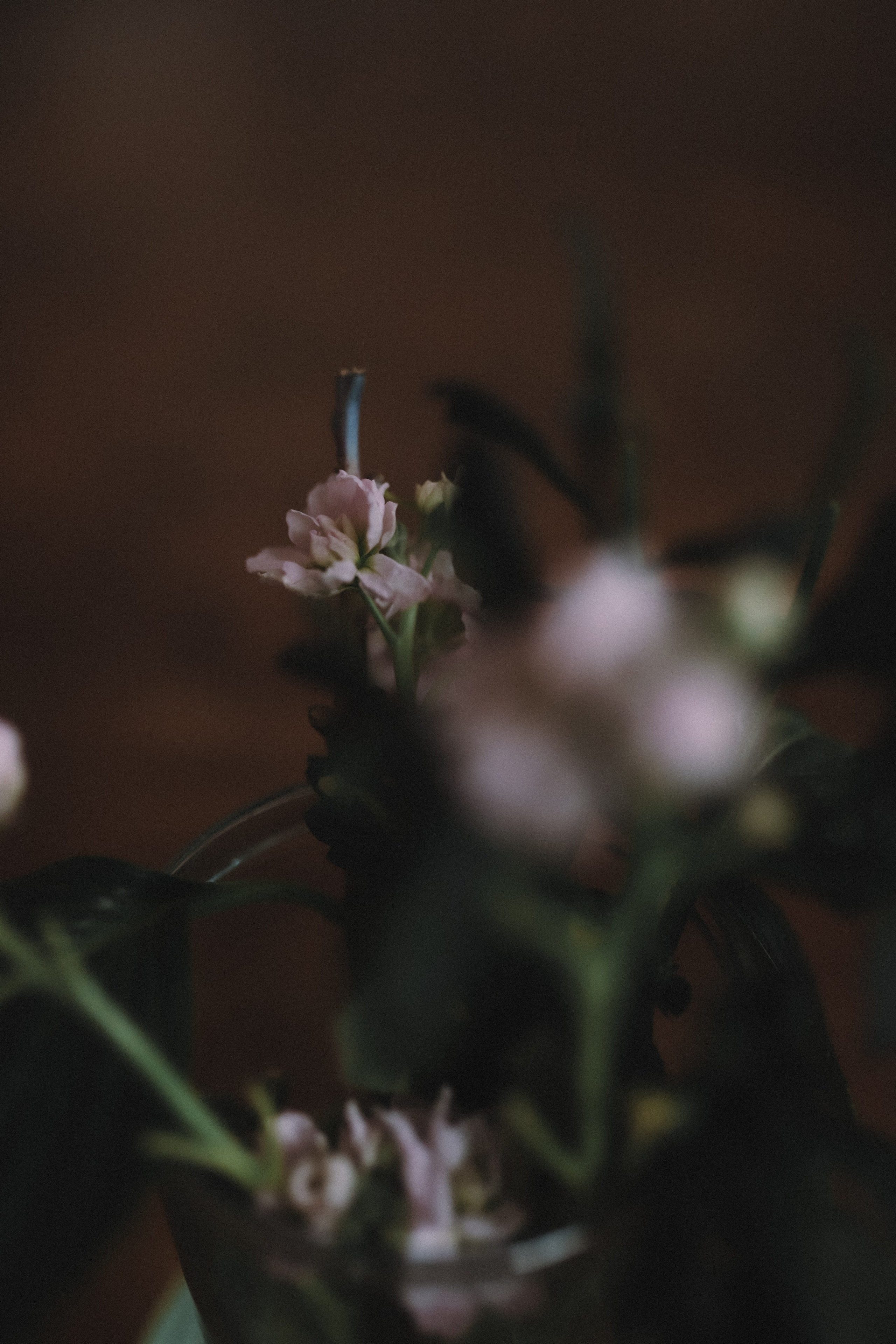 Ксюша. Фотограф в Нижнем Новгороде Кристина Батанова