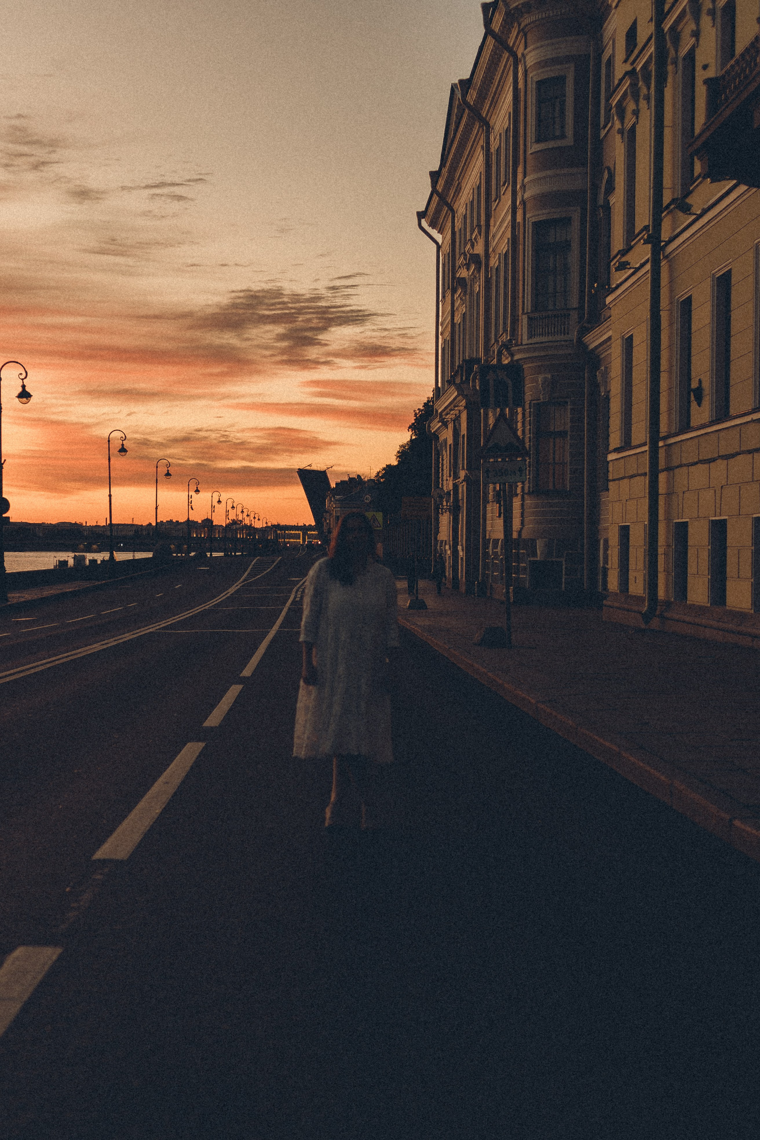 РАССВЕТ С РАЗВОДНЫМИ МОСТАМИ. Профессиональный фотограф, Санкт-Петербург — Виктория Богомолова