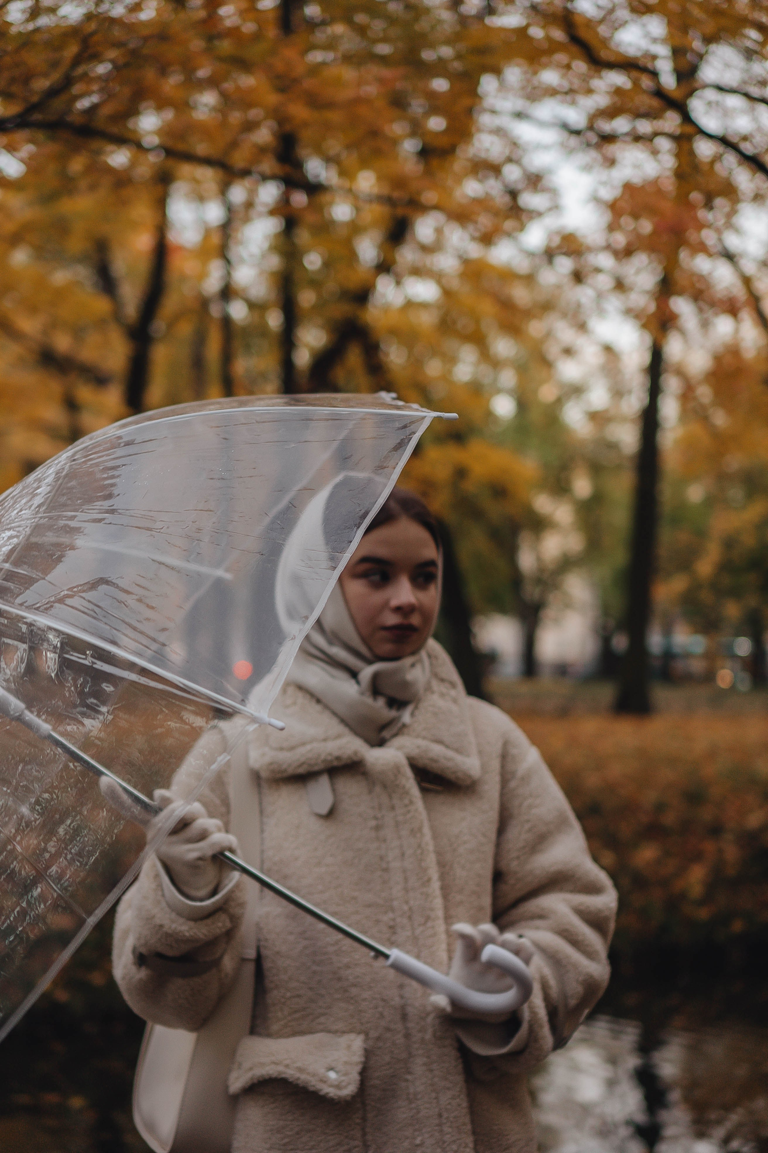 Осенняя. Профессиональный фотограф, Санкт-Петербург — Виктория Богомолова