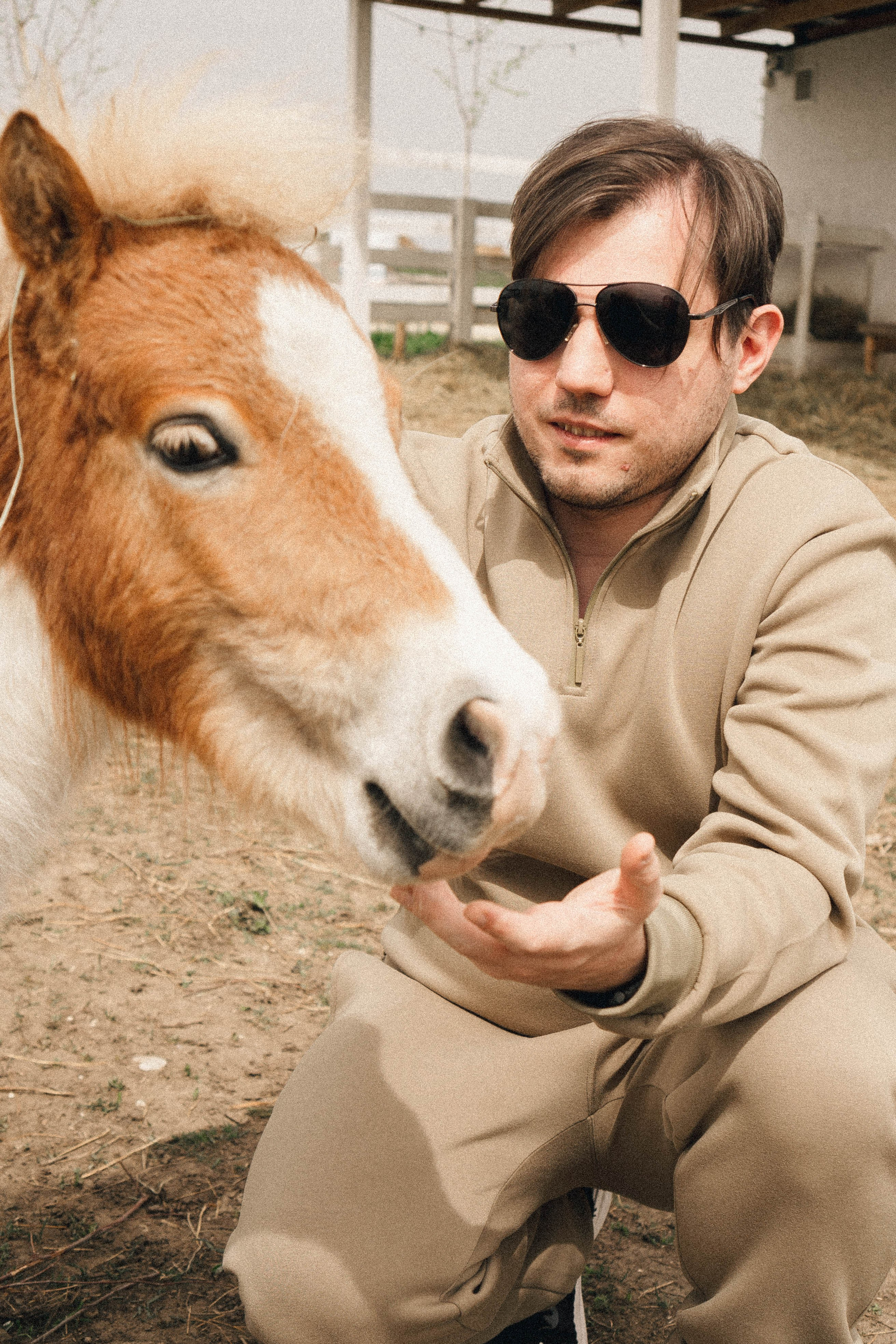 Ферма Альпак. Профессиональный фотограф, Санкт-Петербург — Виктория Богомолова