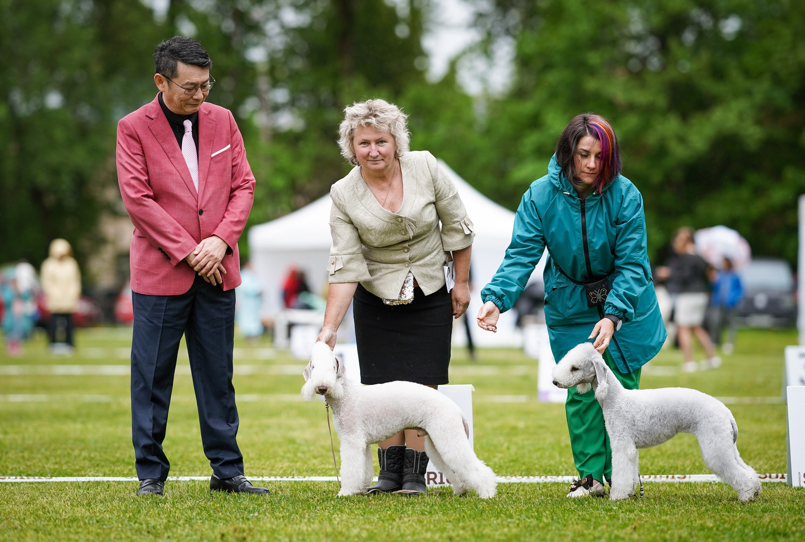 Выставки 2025. Фотограф-анималист в Санкт-Петербурге Яна Мартынова