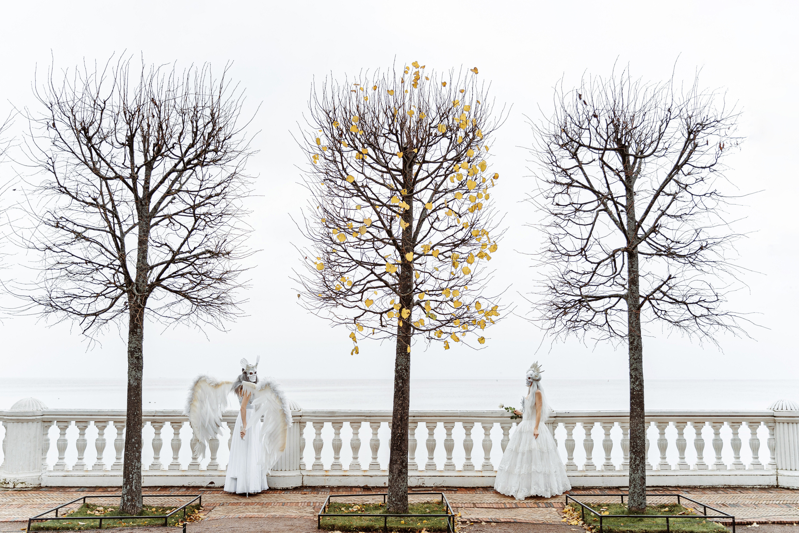 Into Autumn. Photographer Natalia Baranova