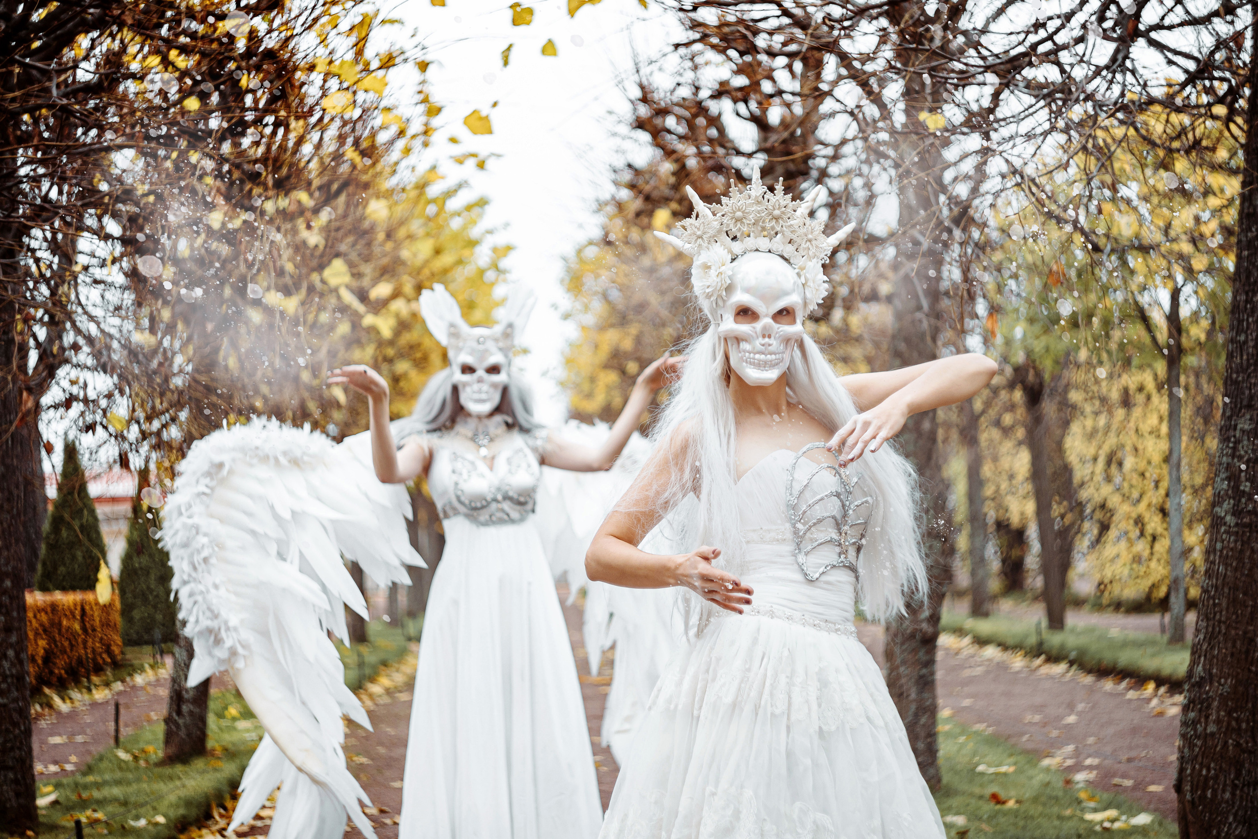 Into Autumn. Photographer Natalia Baranova