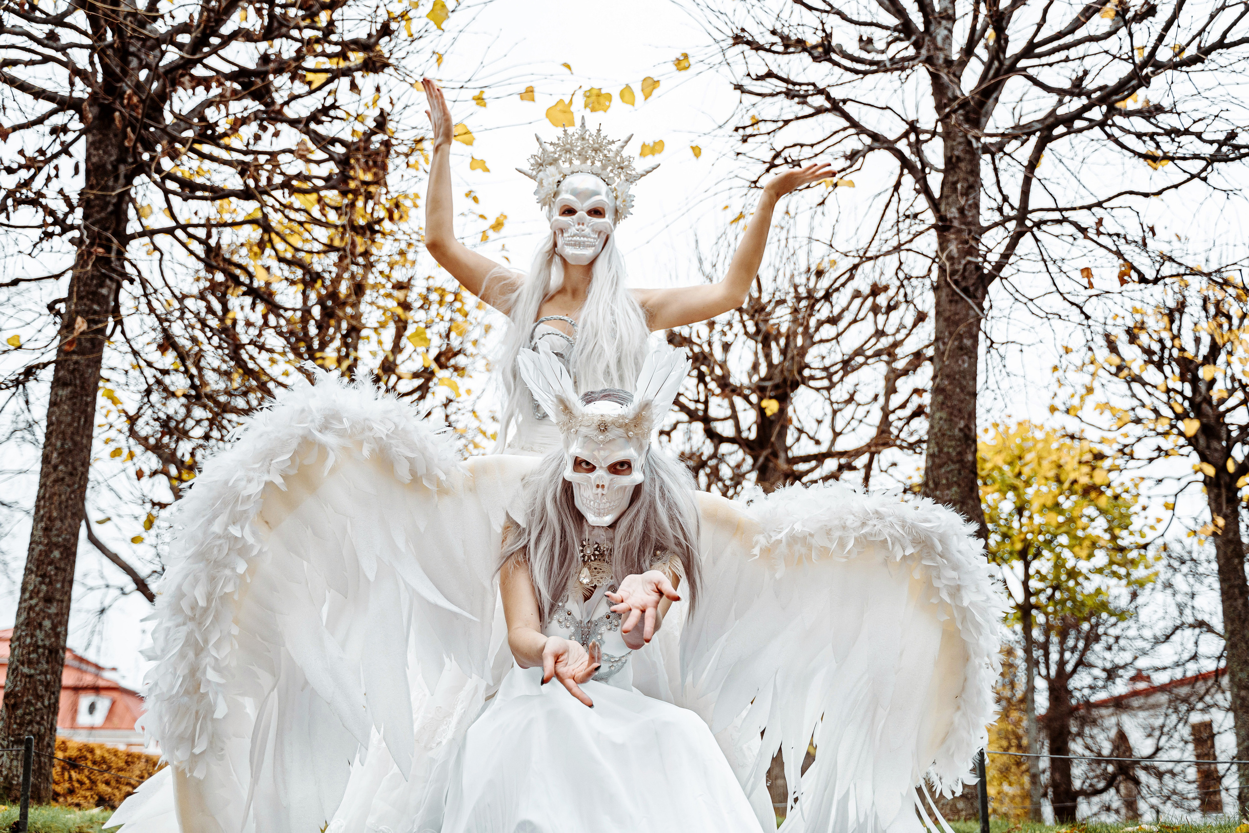 Into Autumn. Photographer Natalia Baranova