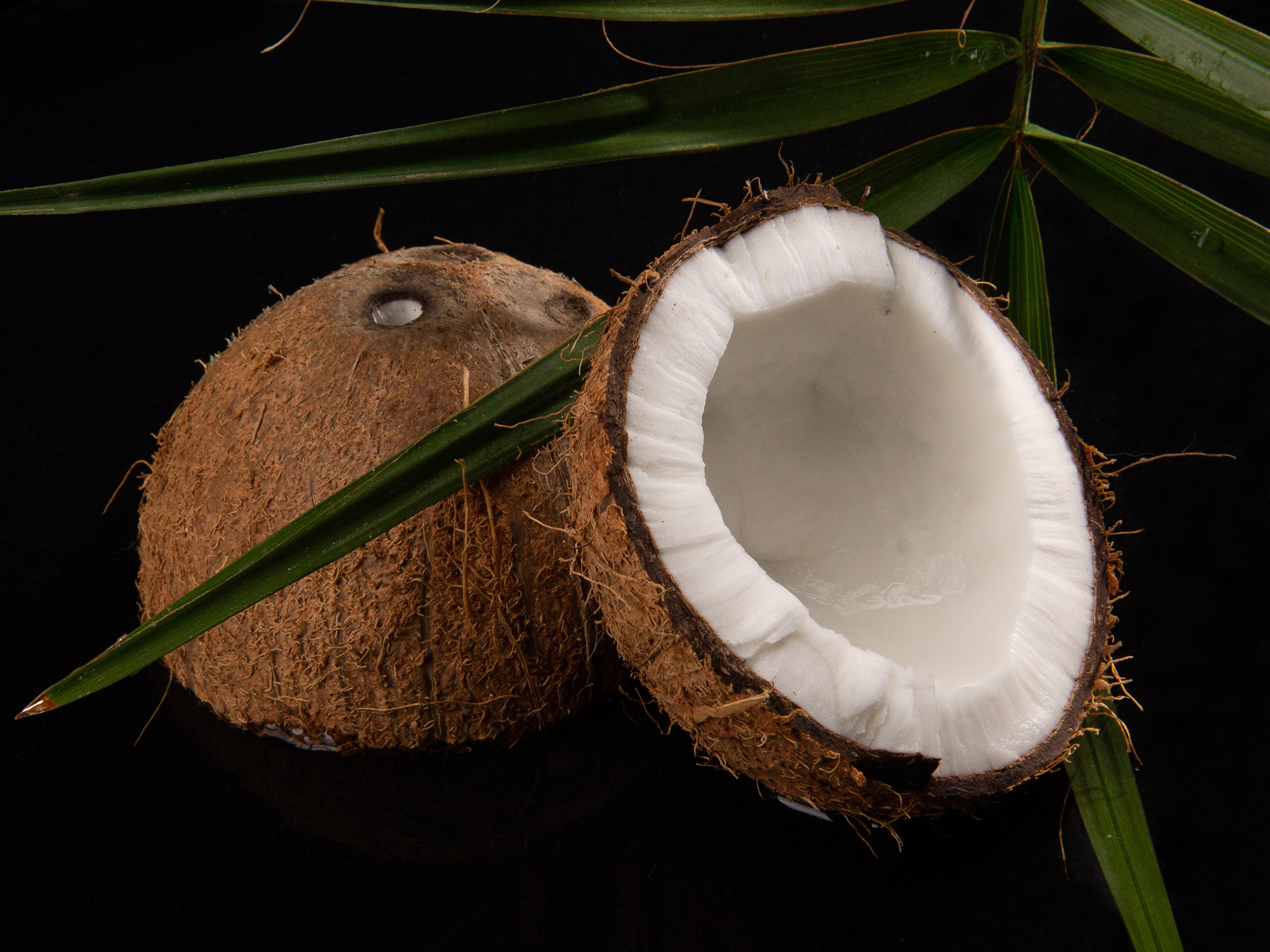 фотография кокоса для рекламы