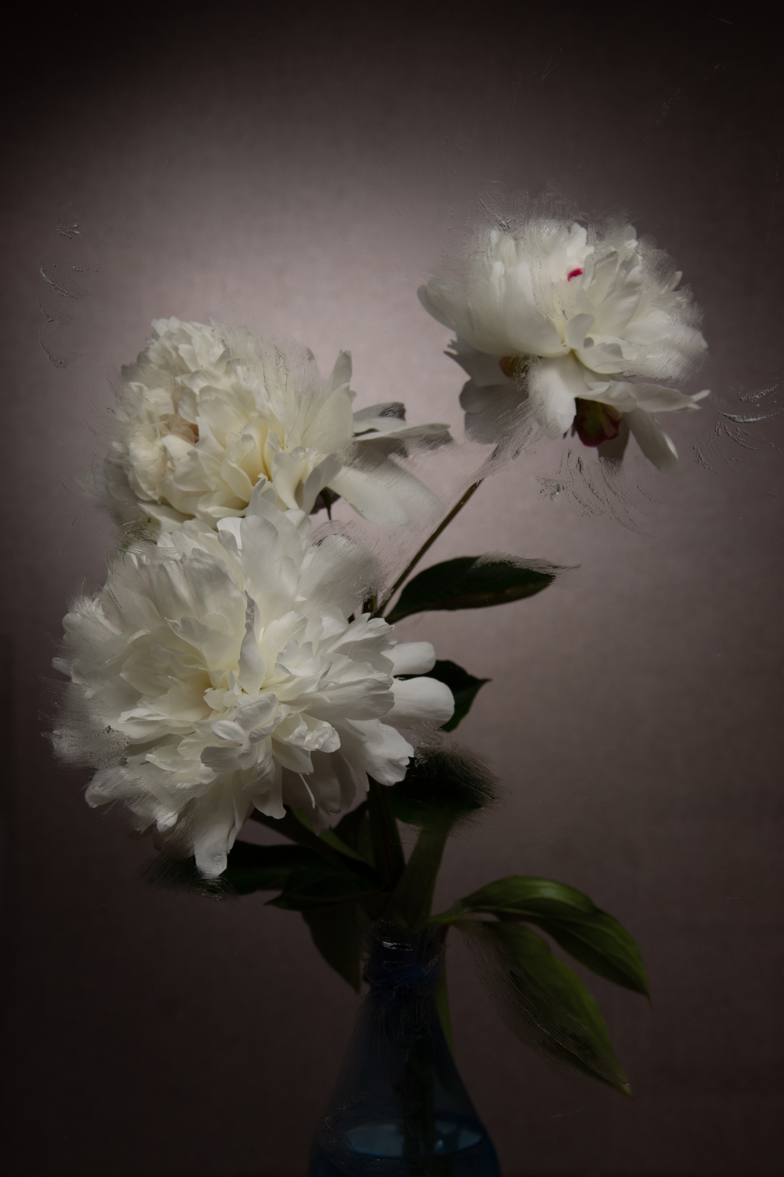 картины из цветов