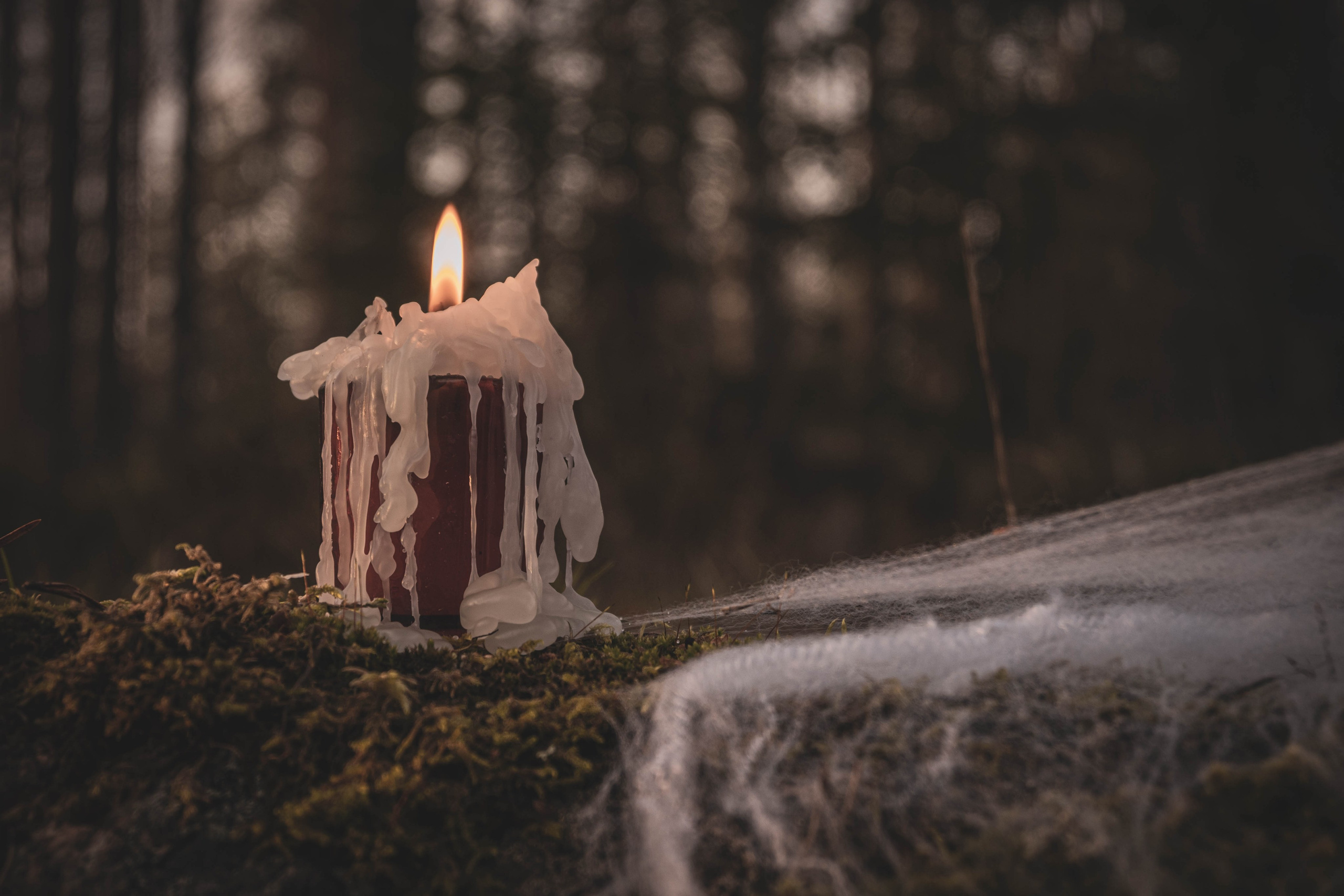 Ведьмочки. Фотограф Екатерина Шишкина. Питкяранта. Карелия