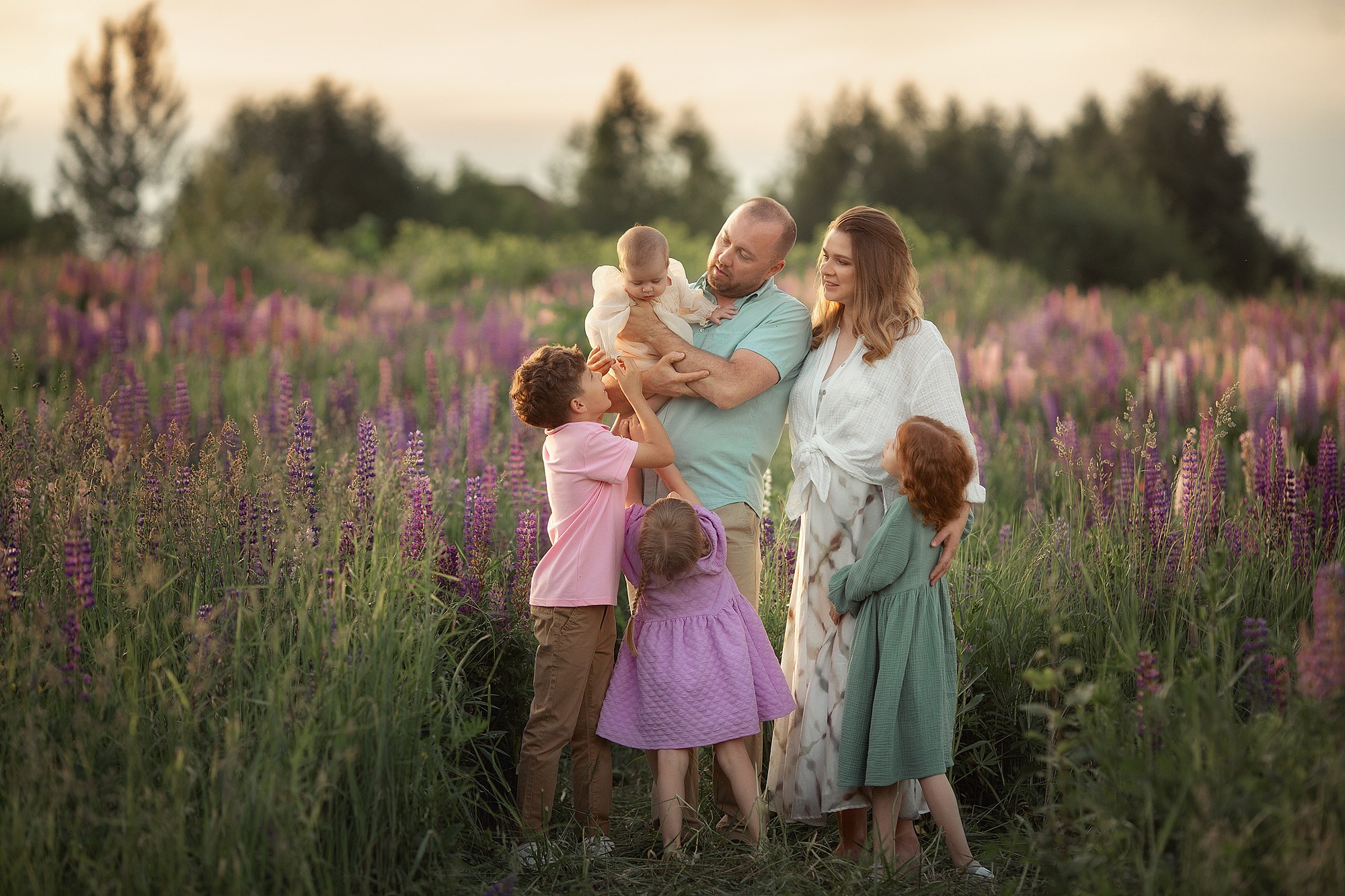 Красивая семейная съемка в люпиновом поле. Tatyana Nadezhdina Family photographer