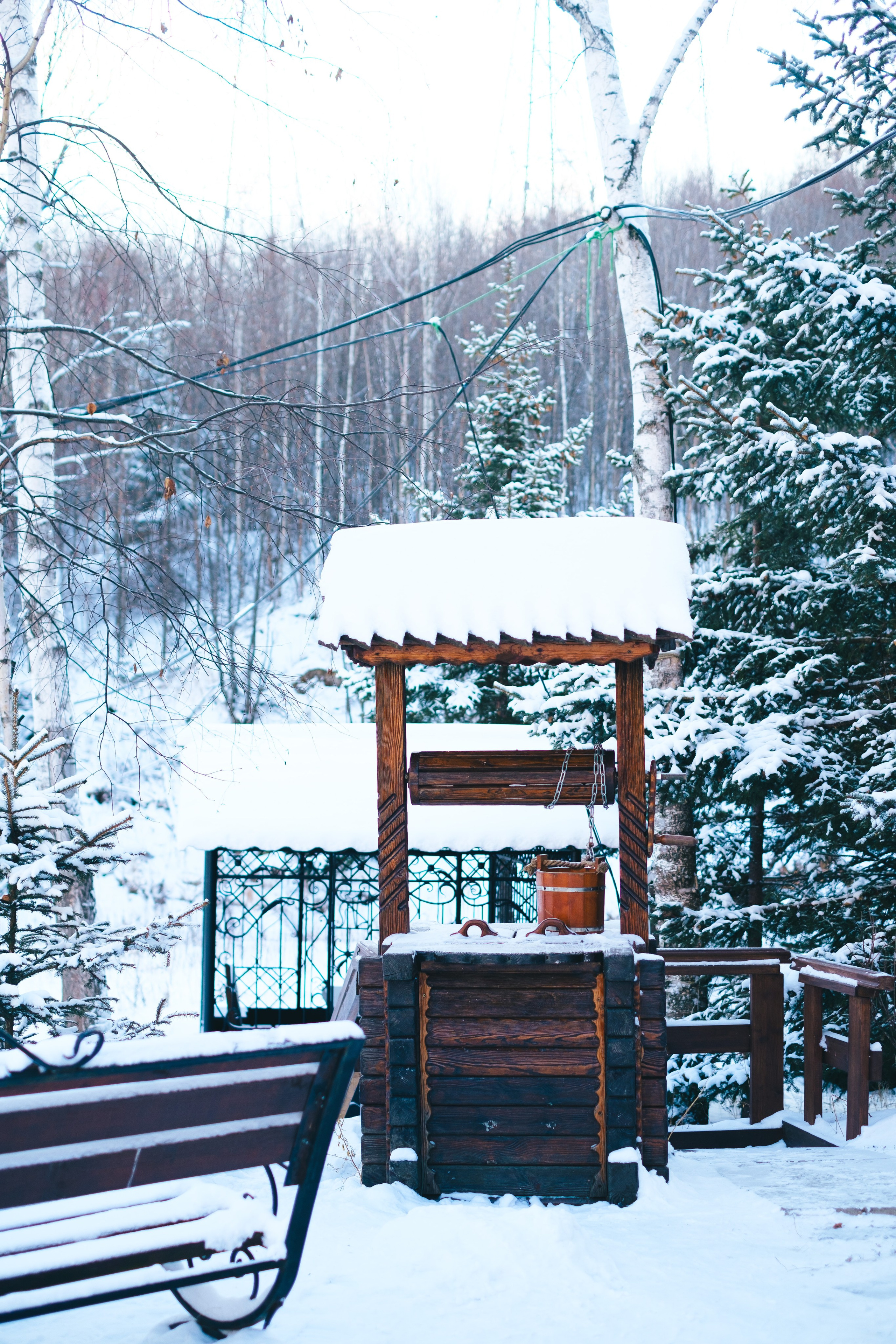 Бурейский тур. Фотограф Благовещенска Яна
