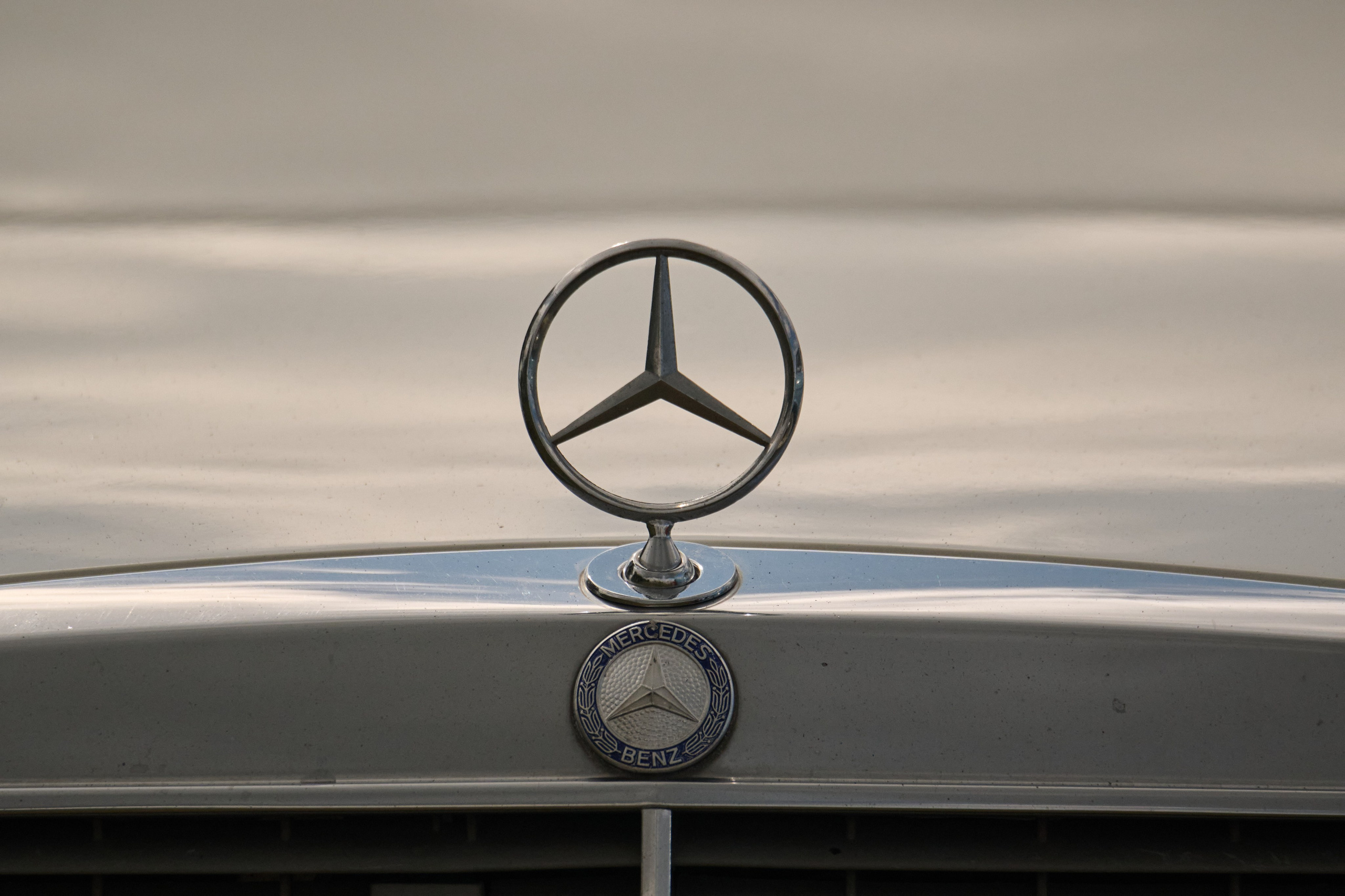 3 этап кубка Ракеты 2025 год. Сергей Богомолов. Свадебный и семейный фотограф